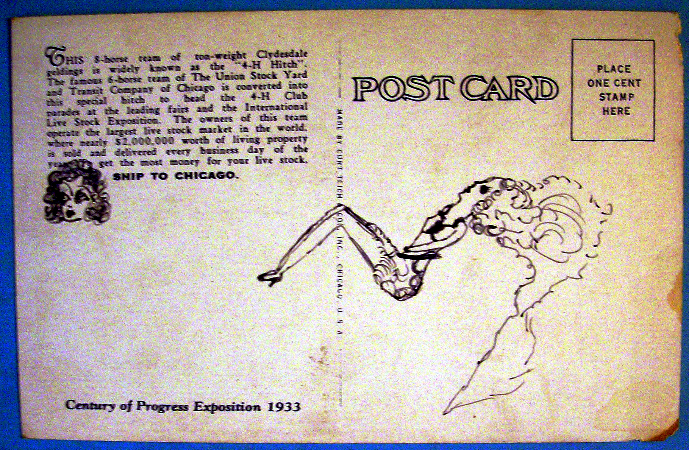 1931 Livestock Exposition, Stock Yard Postcard
