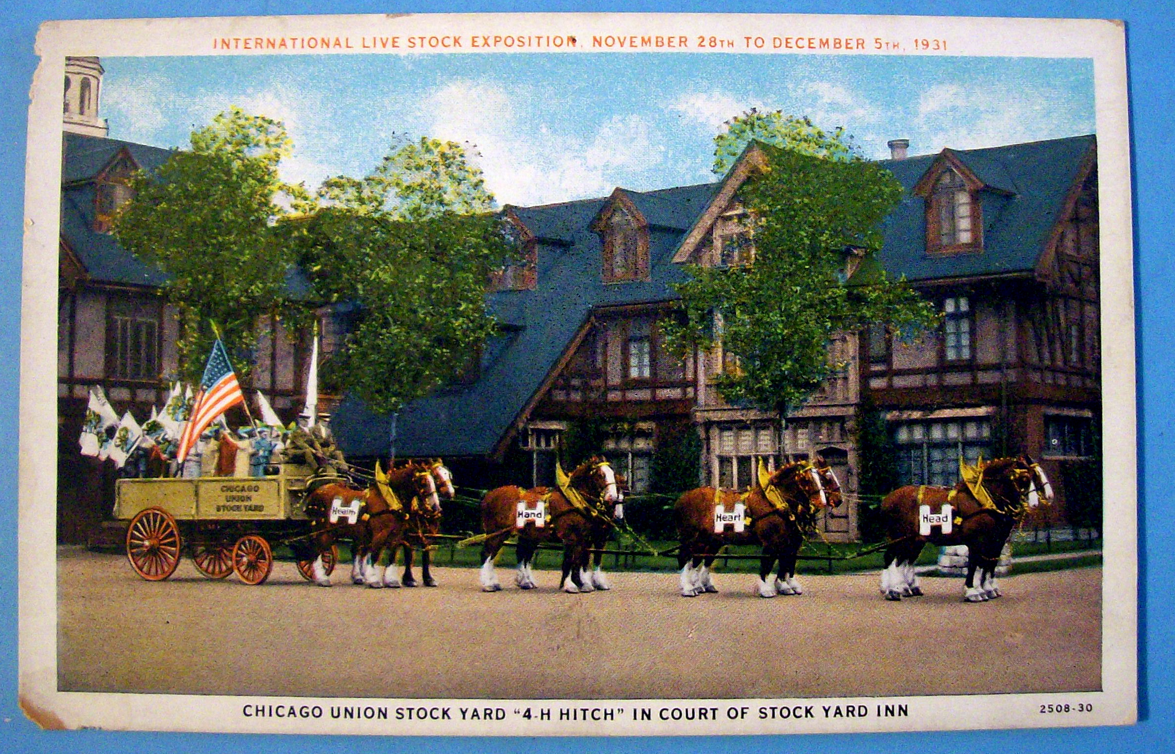 1931 Livestock Exposition, Stock Yard Postcard