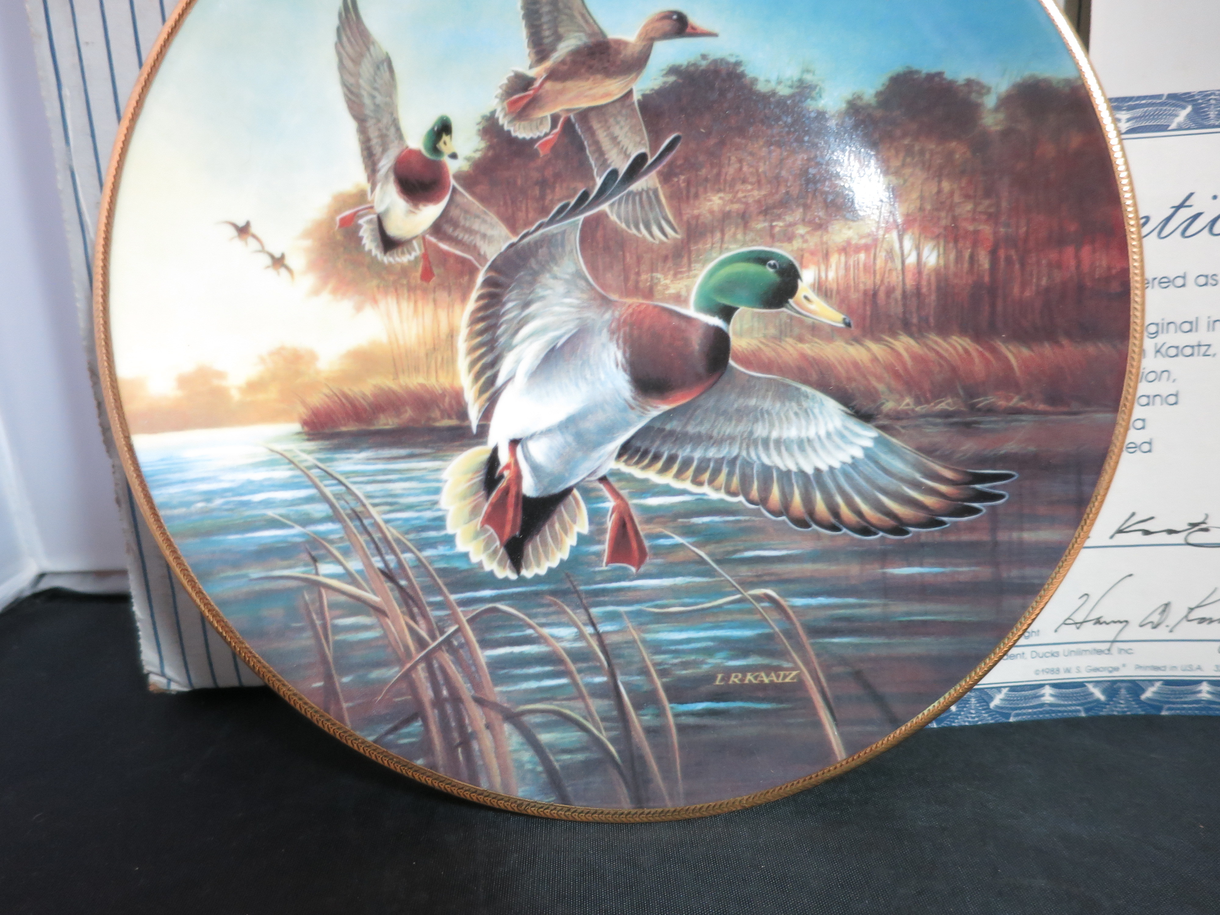 Mallards at Sunrise Lynn Kaatz 1st Classic Waterfoul