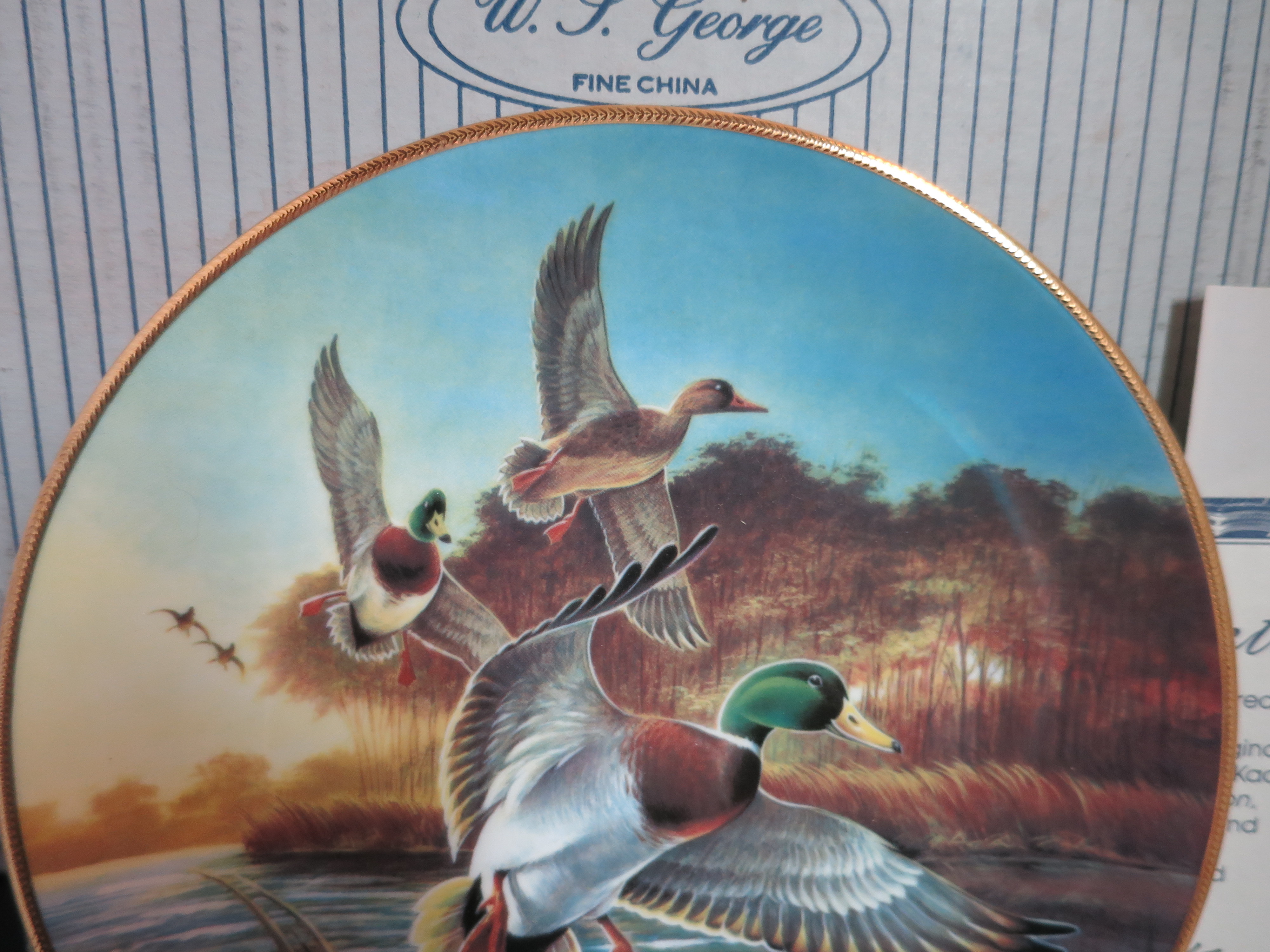 Mallards at Sunrise Lynn Kaatz 1st Classic Waterfoul