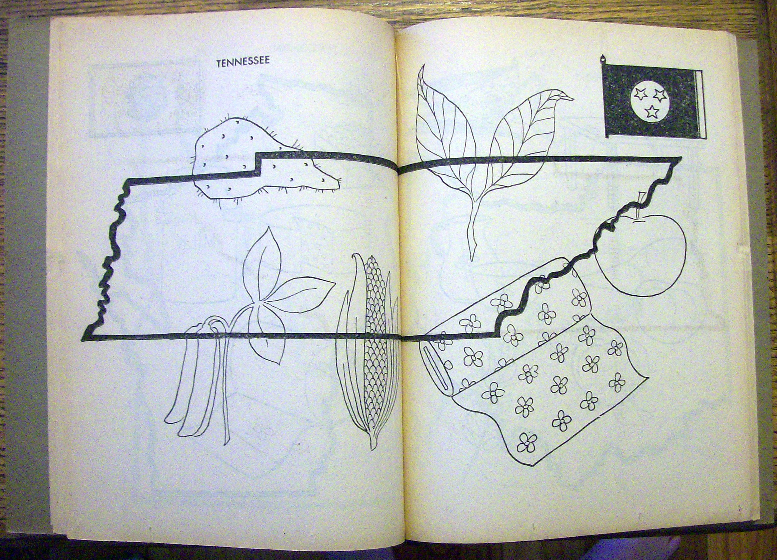 Fifty States To Color 1960 (Treasure Coloring Book)