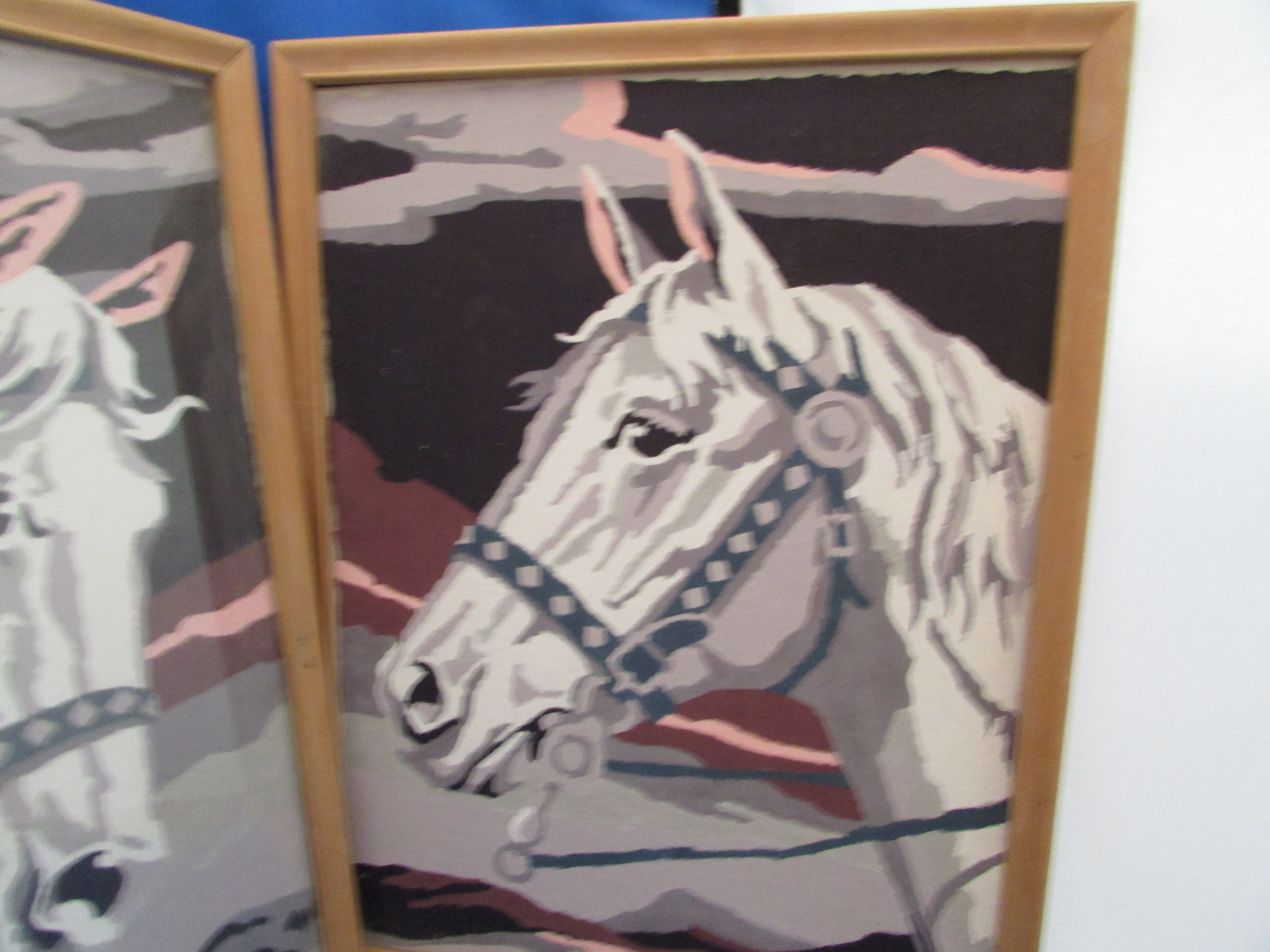 Paint By Numbers Horse Head Pictures