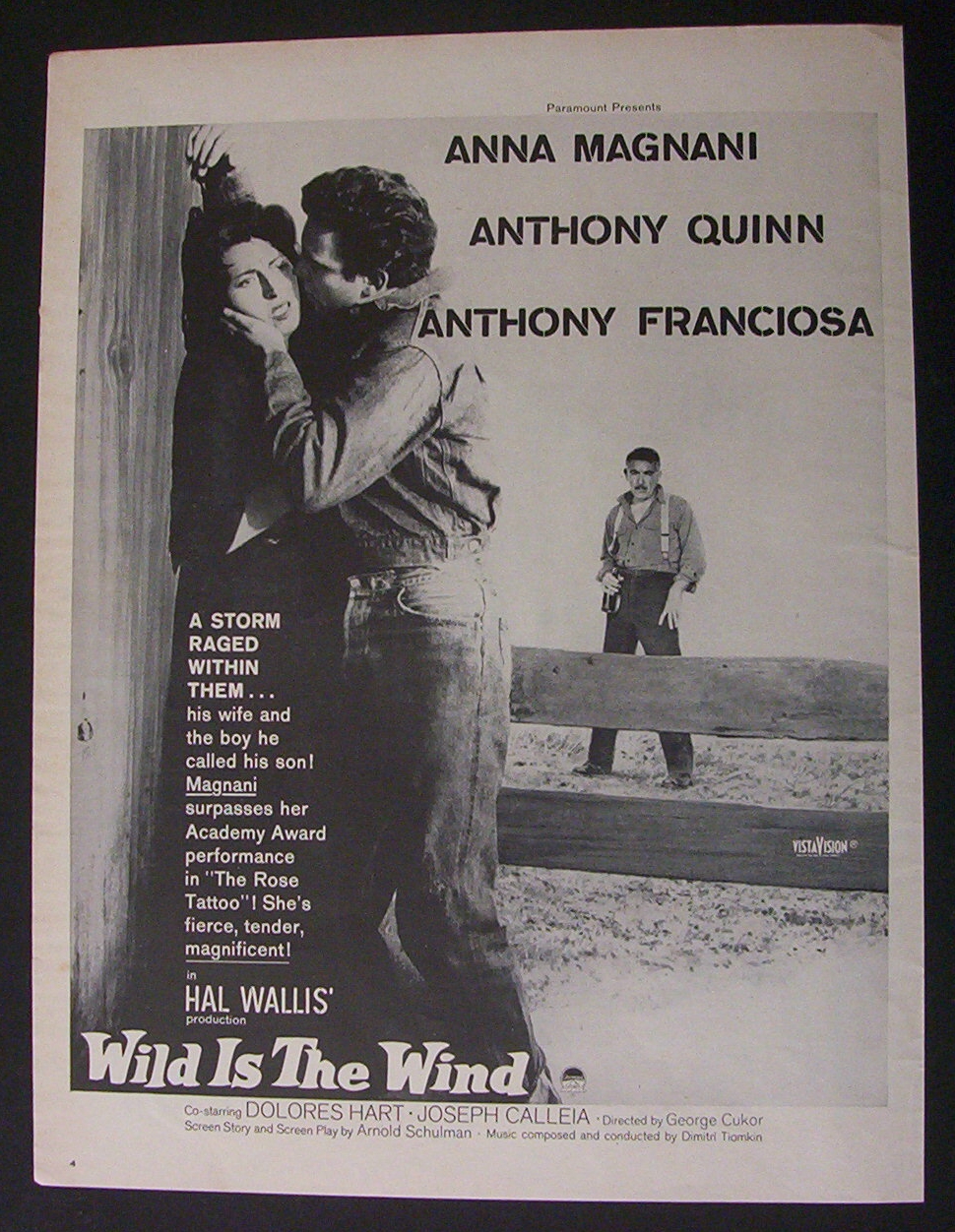 1958 Movie Ad For Wild Is The Wind
