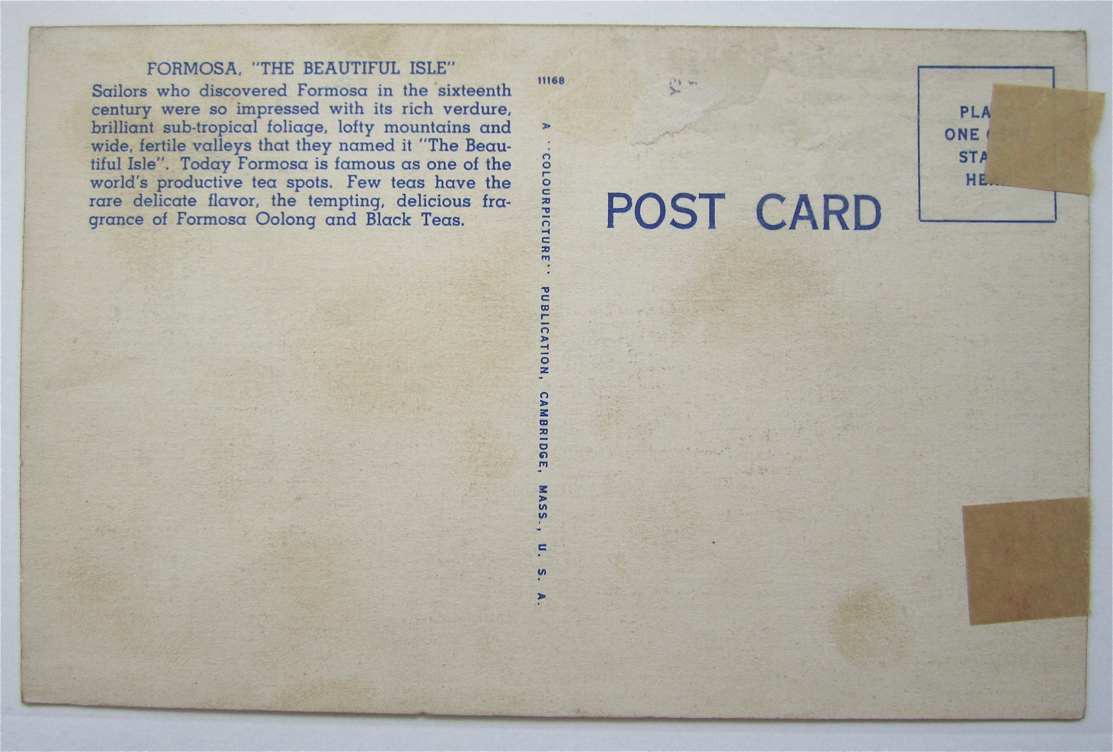 Formosan Tea Room, New York Fair Postcard