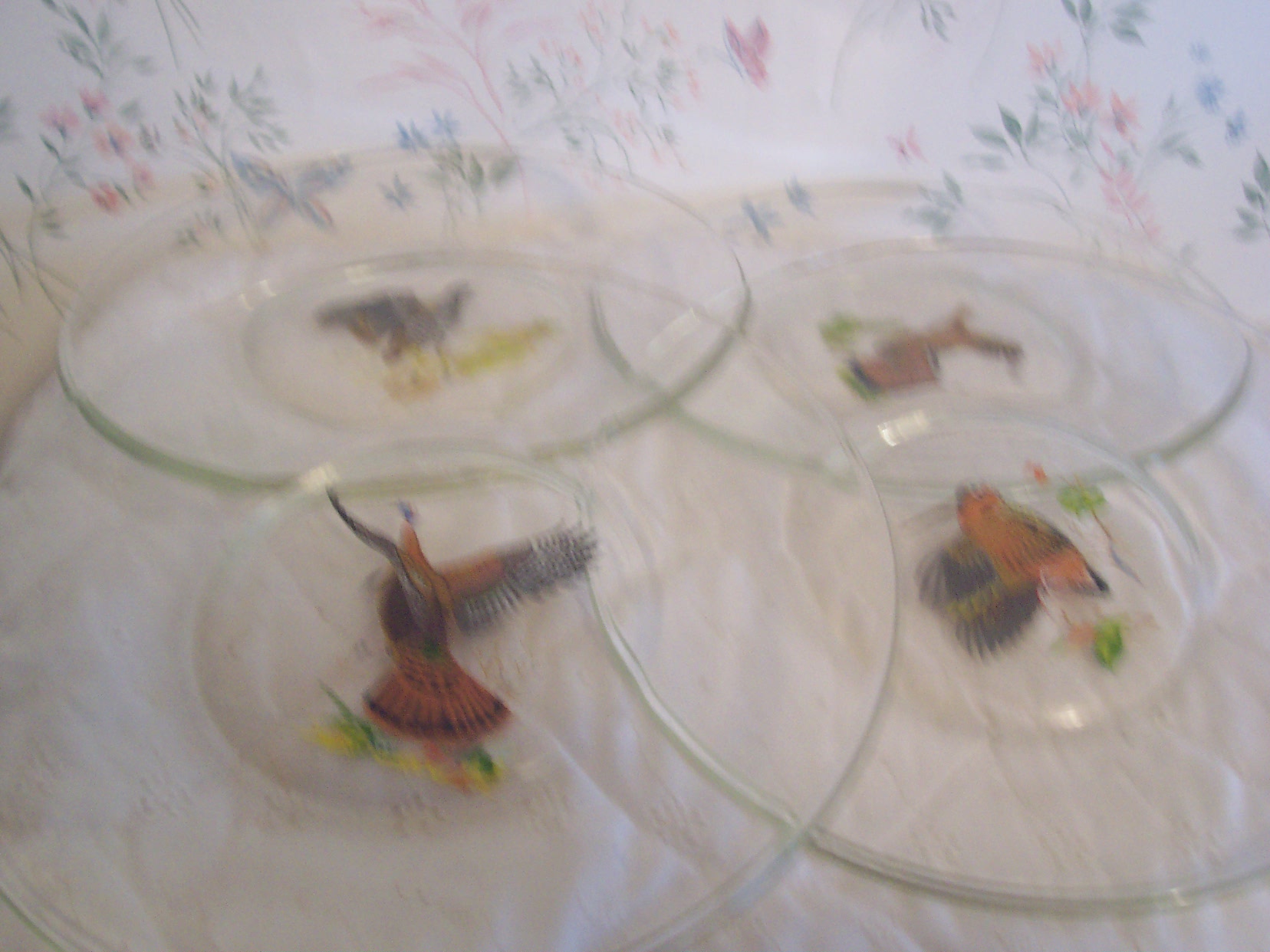 Ned Smith Glass Game Bird Plates Set of 4