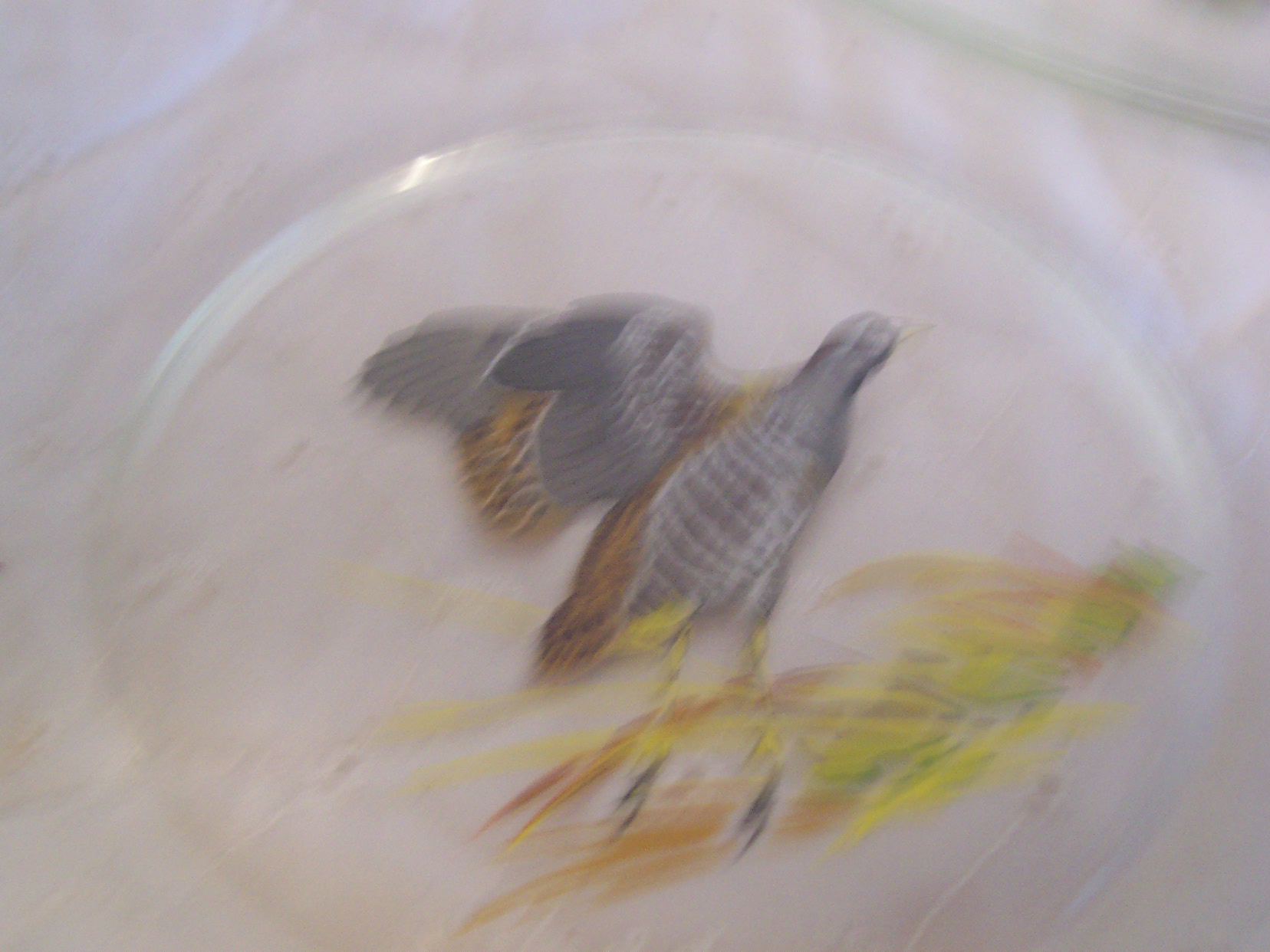 Ned Smith Glass Game Bird Plates Set of 4