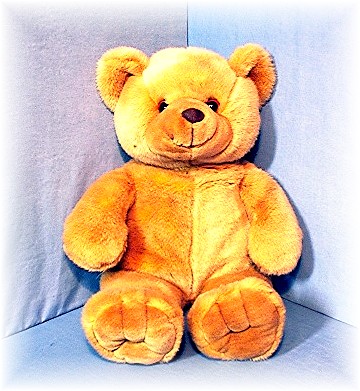 Anna Club Plush Teddy Bear Netherlands