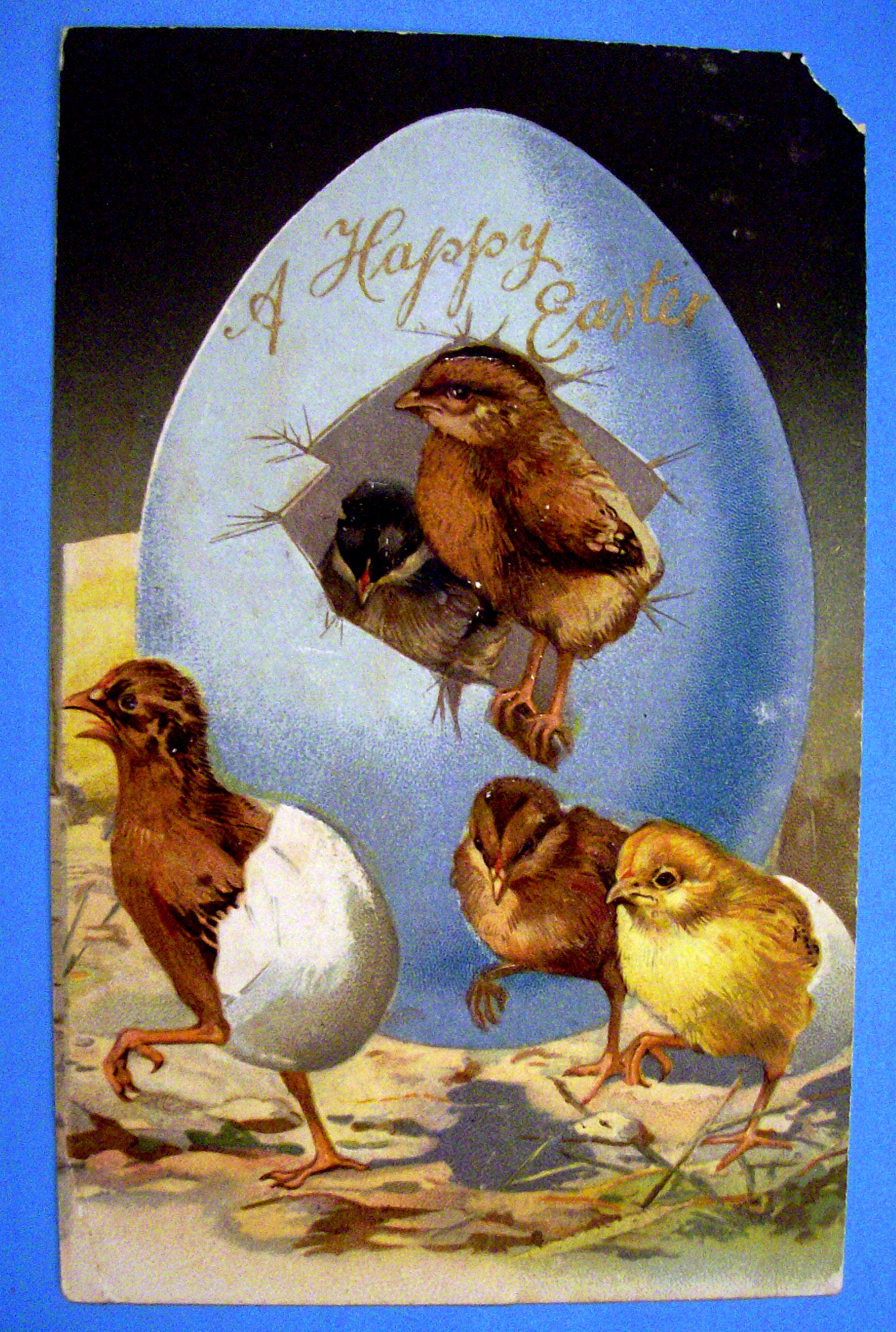 A Happy Easter Postcard w/Embossed Design of 4 Chicks