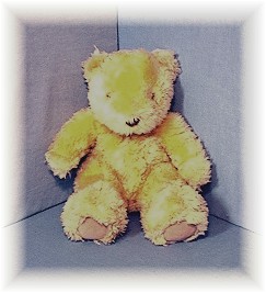 Fluffy Golden Teddy Bear.