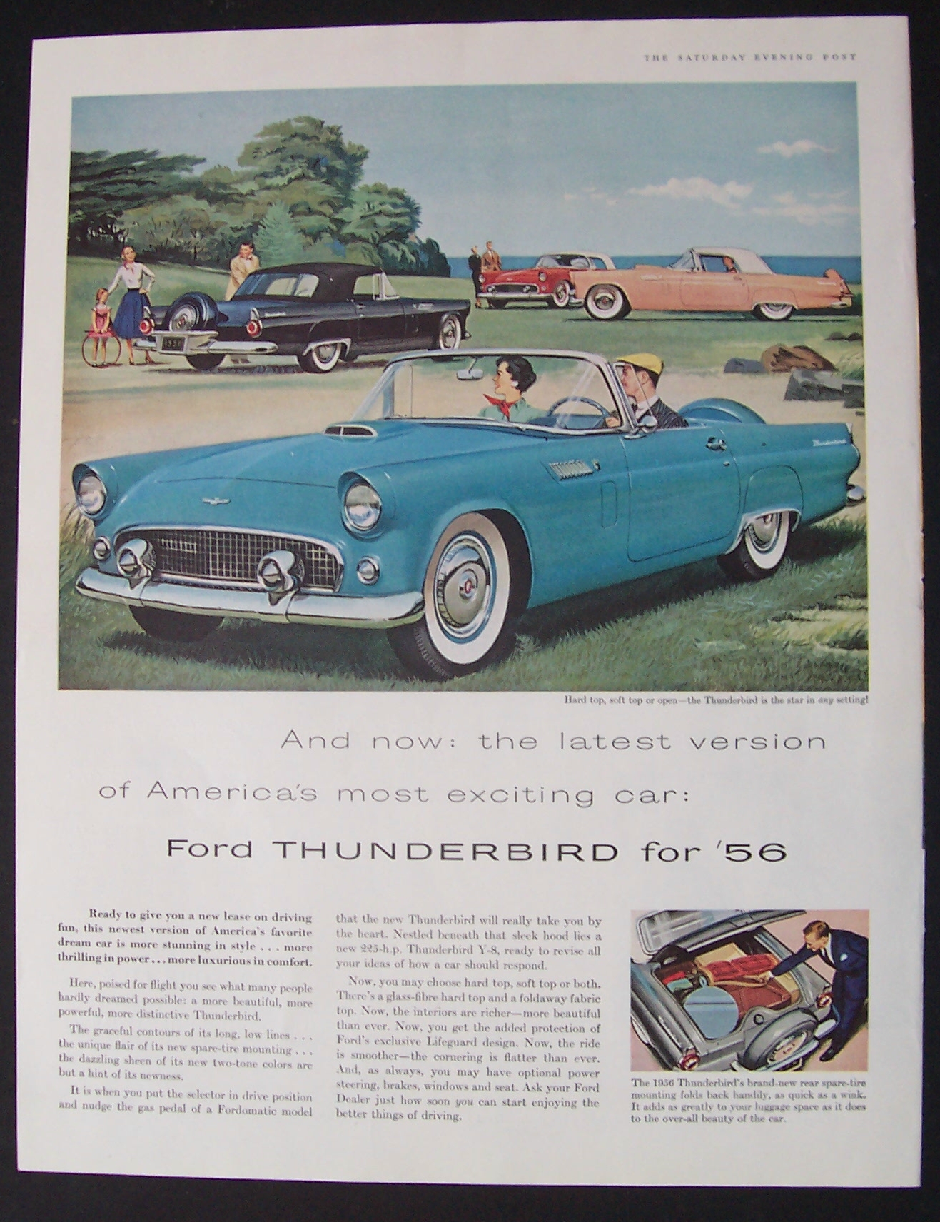 1955  Ford  Thunderbird