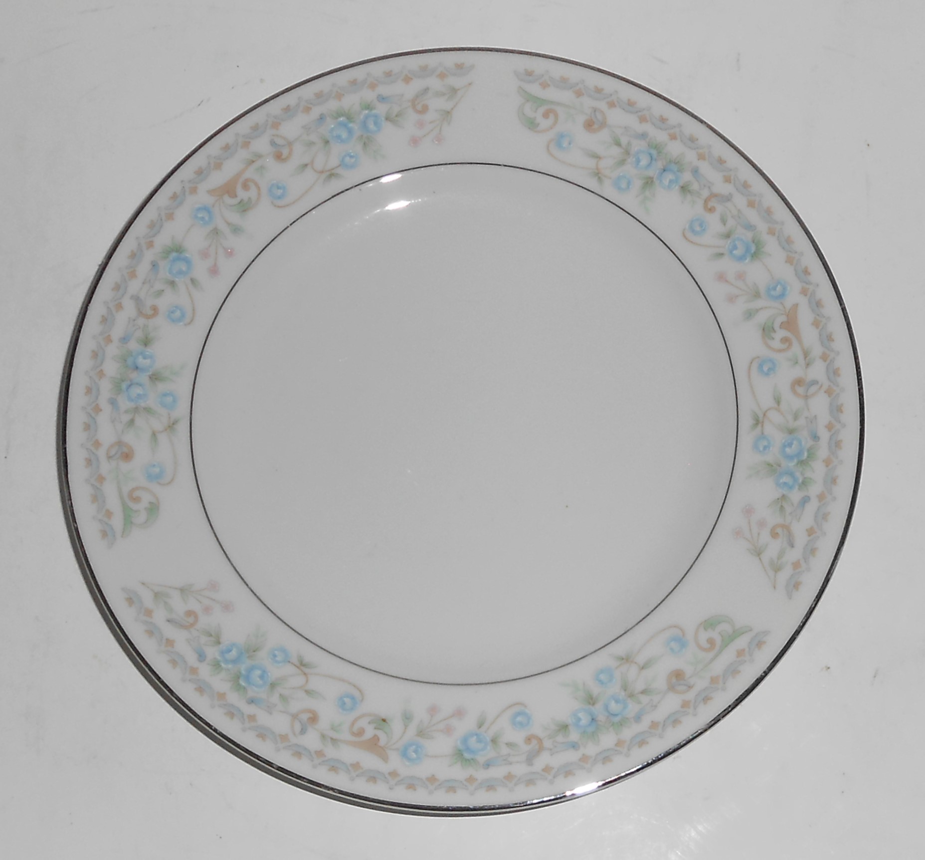 Carlton Fine China Ashford Floral w/Platinum Bread Pla