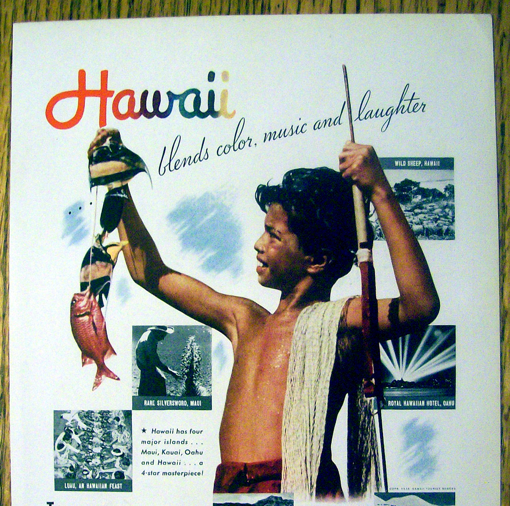 1939 People Of Hawaii with Little Boy Looking At Fish