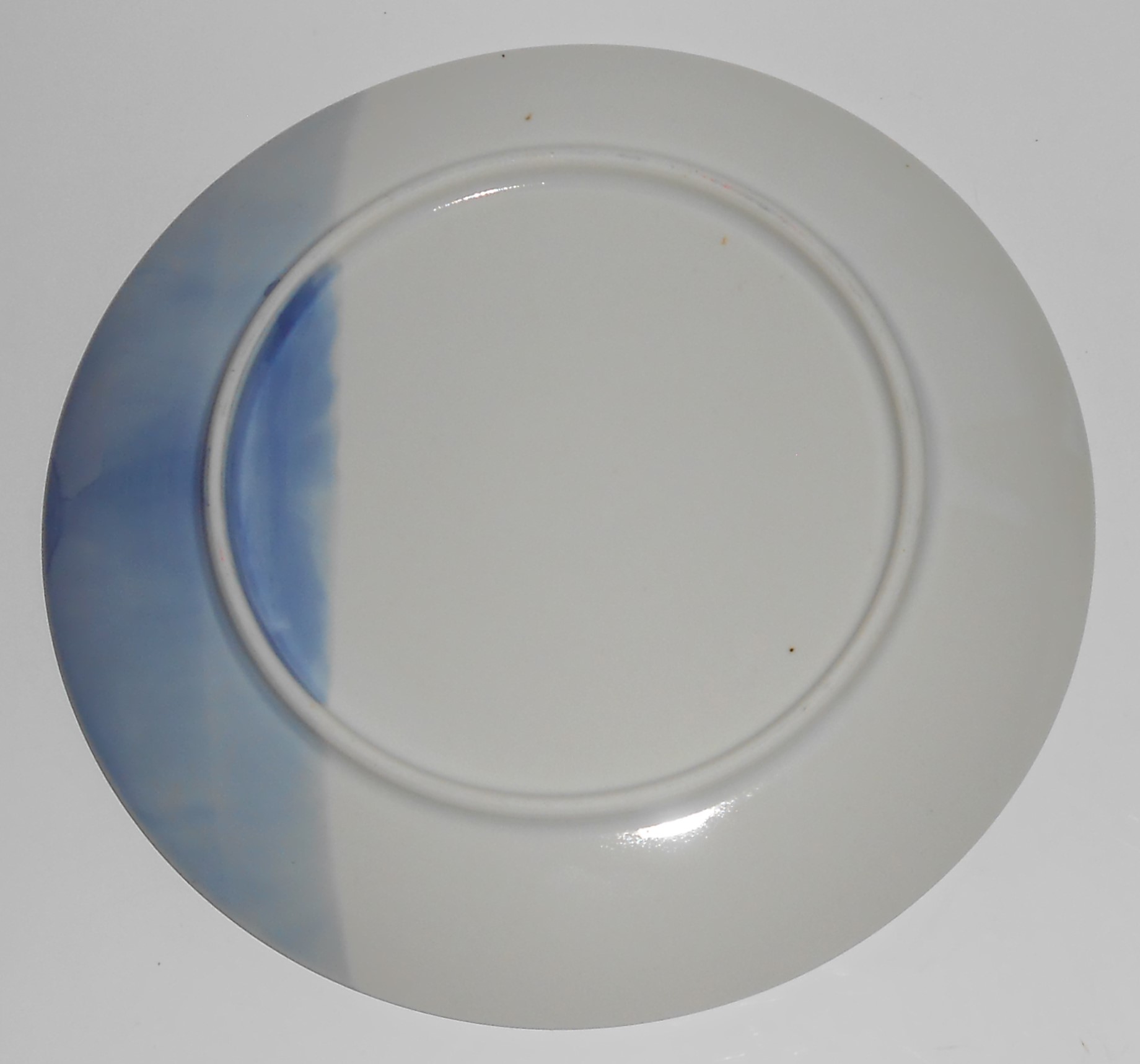Blue White Fish On Pottery Salad Plate
