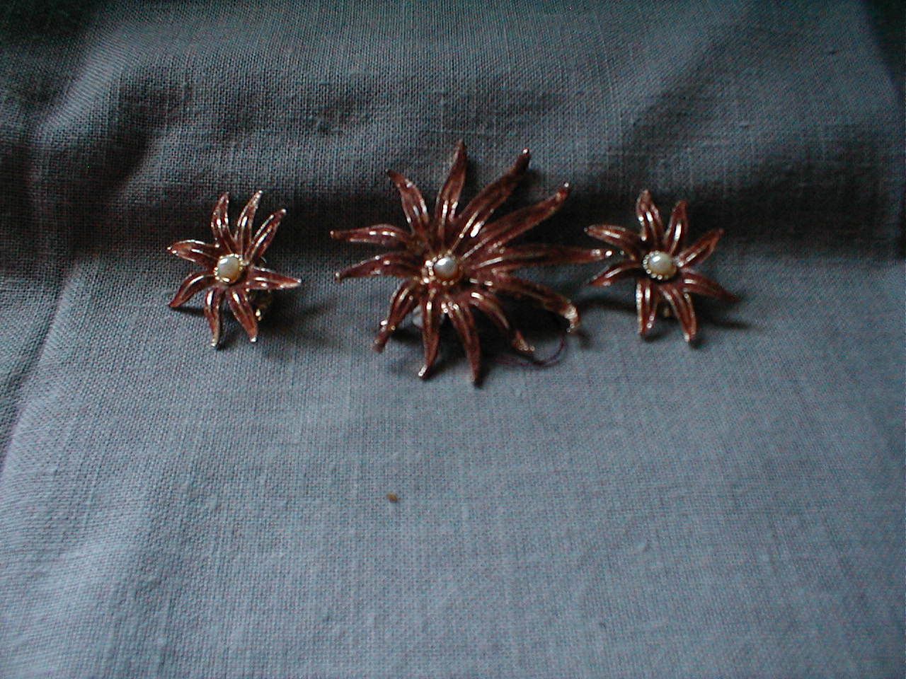 Flower Brooch and Clip-on Earrings