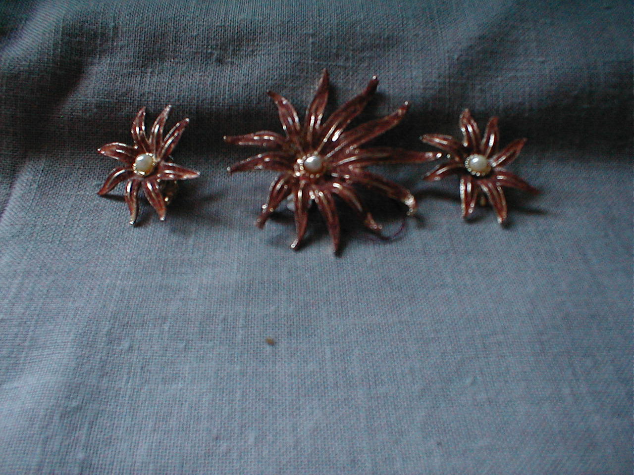 Flower Brooch and Clip-on Earrings