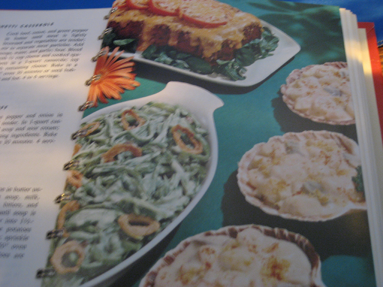 Campbell Soup Cookbook
