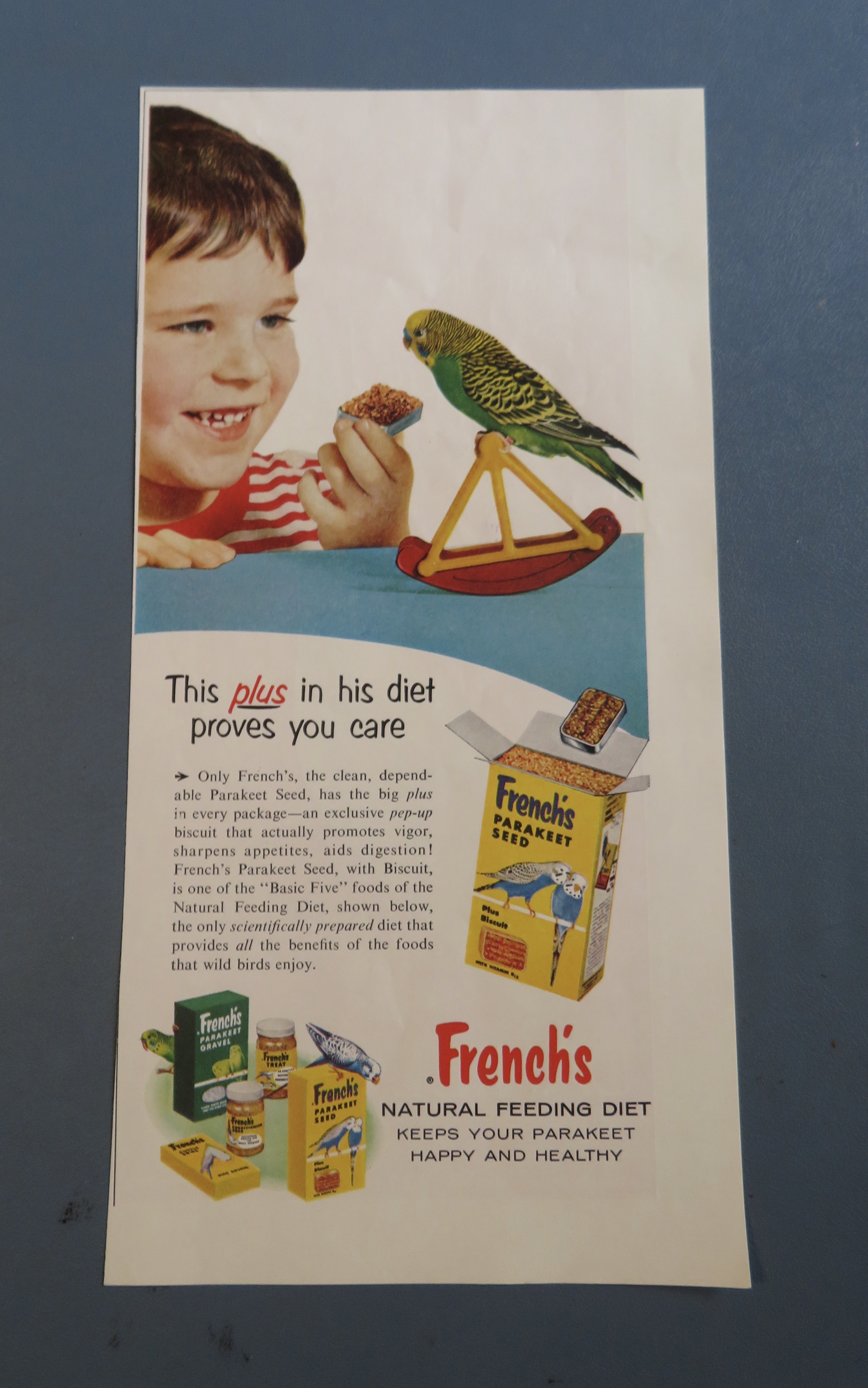 1957 French's Parakeet Seed with Boy & His Bird