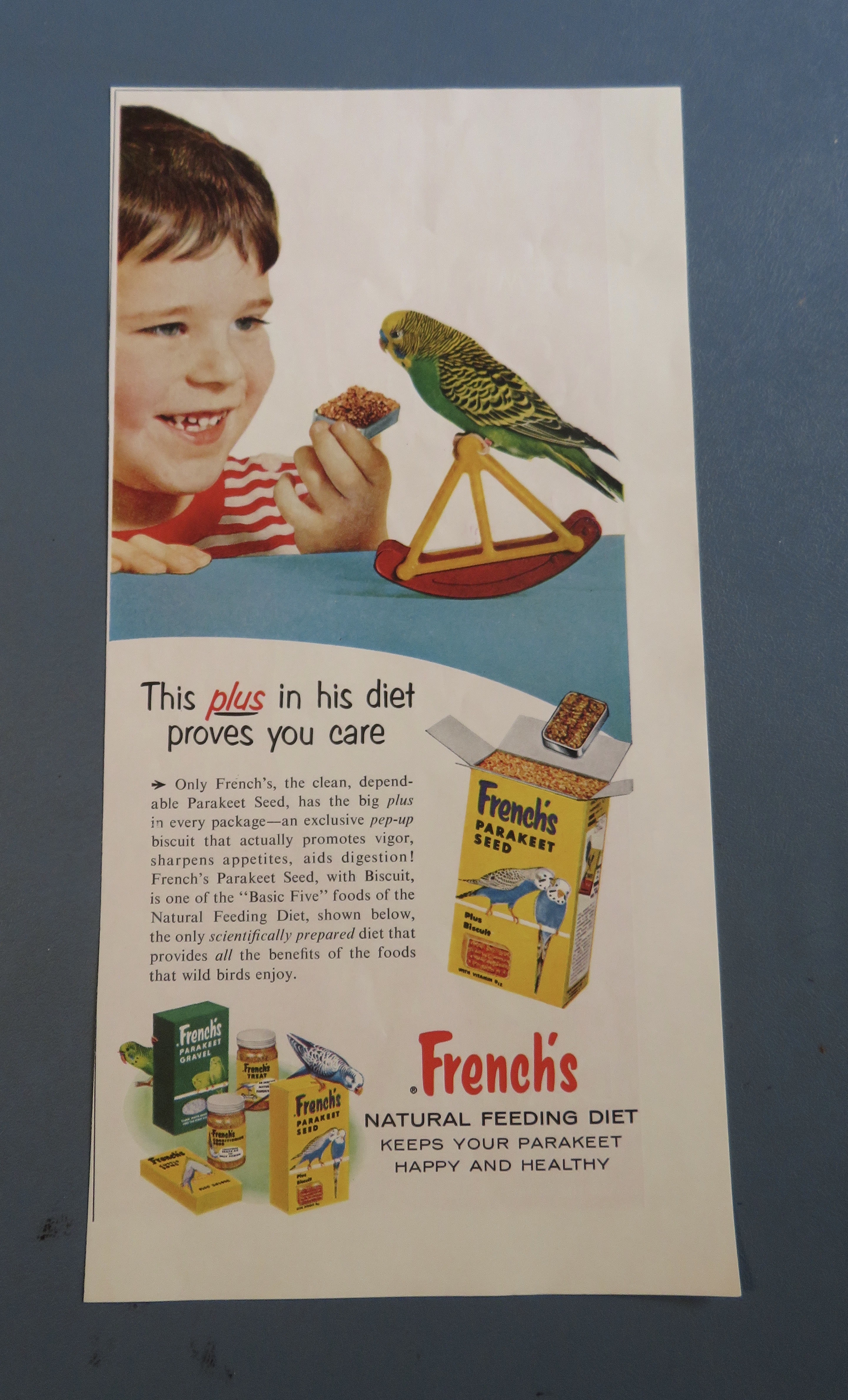 1957 French's Parakeet Seed with Boy & His Bird