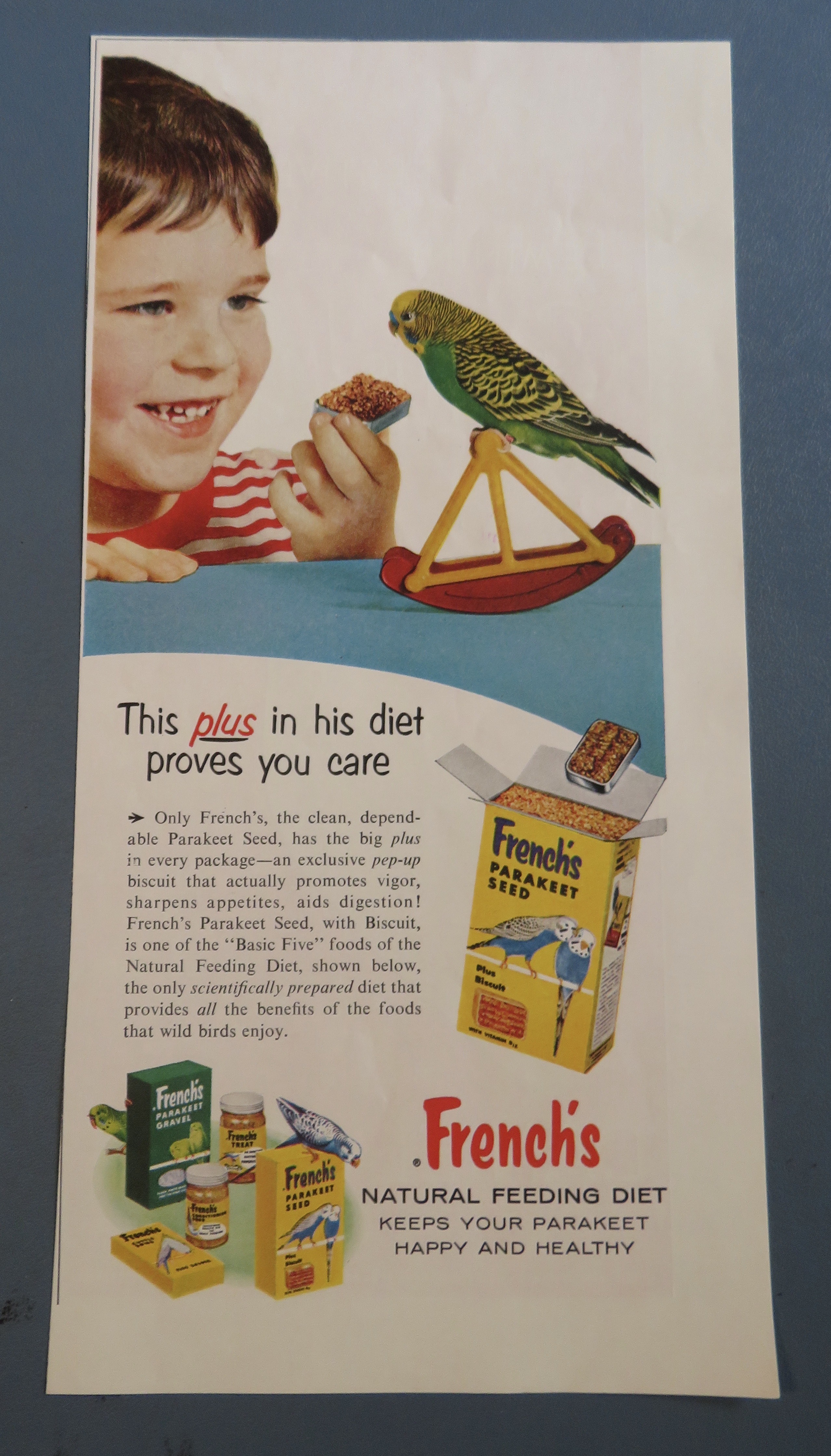 1957 French's Parakeet Seed with Boy & His Bird