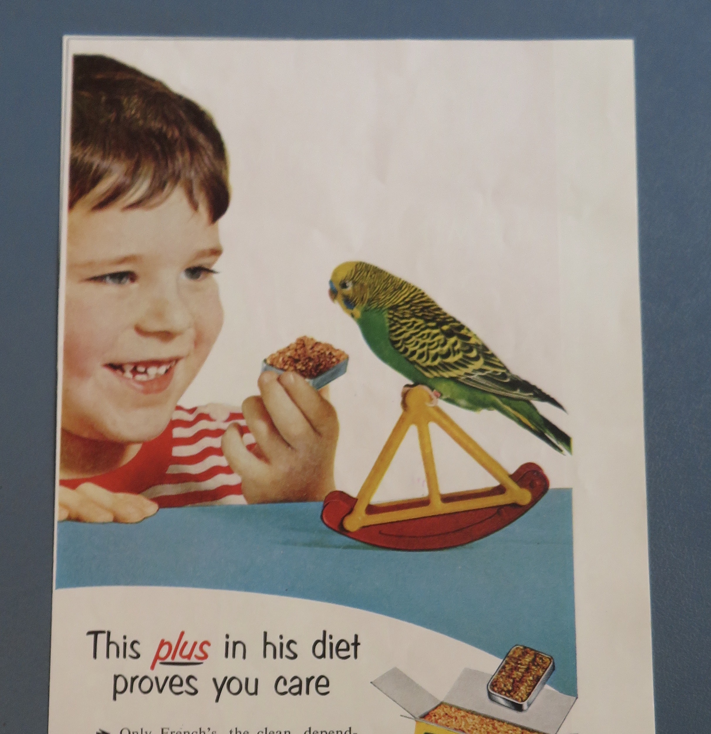 1957 French's Parakeet Seed with Boy & His Bird