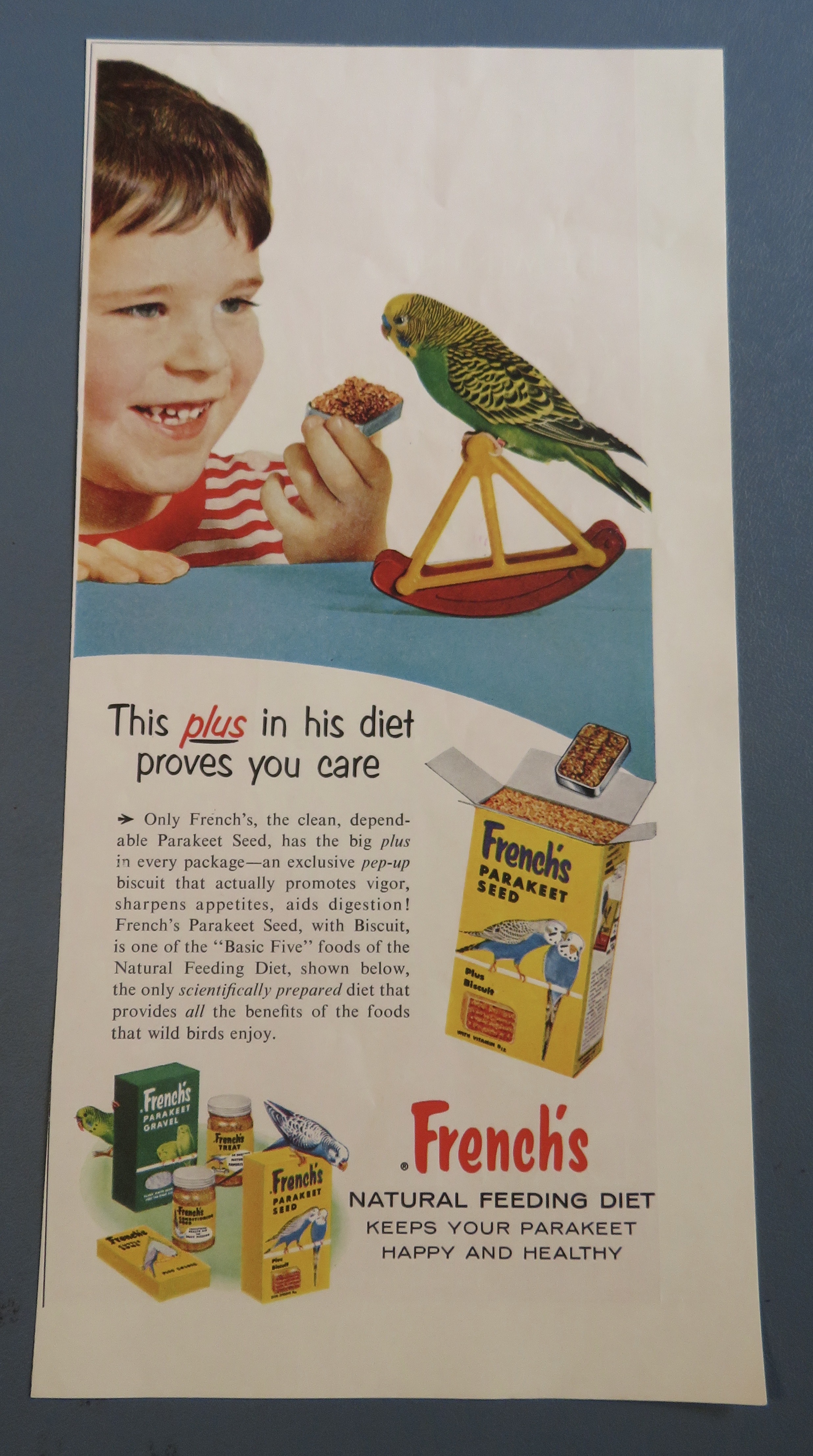 1957 French's Parakeet Seed with Boy & His Bird