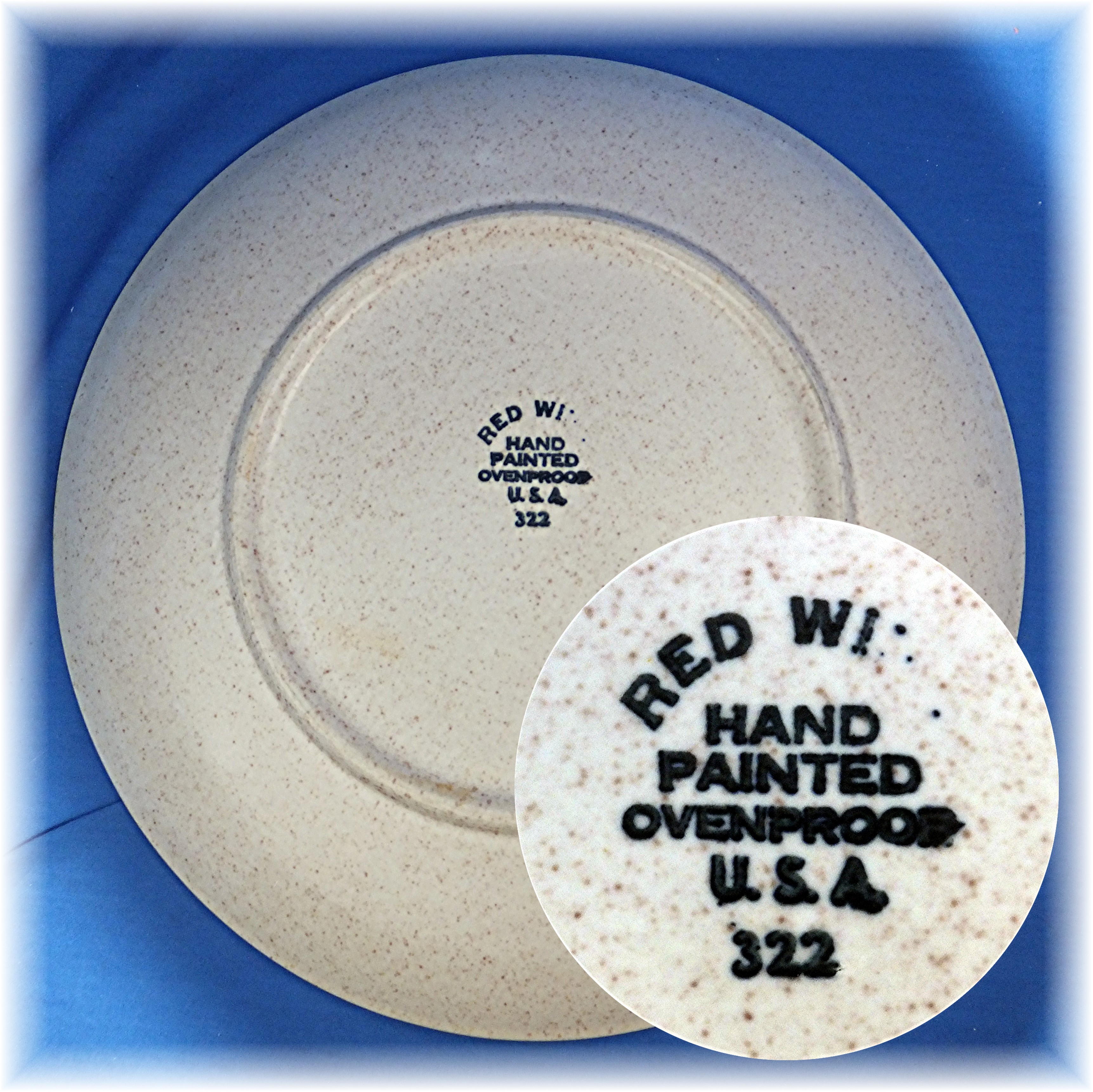 Dinner Plate in the Bob White pattern by Red Wing China