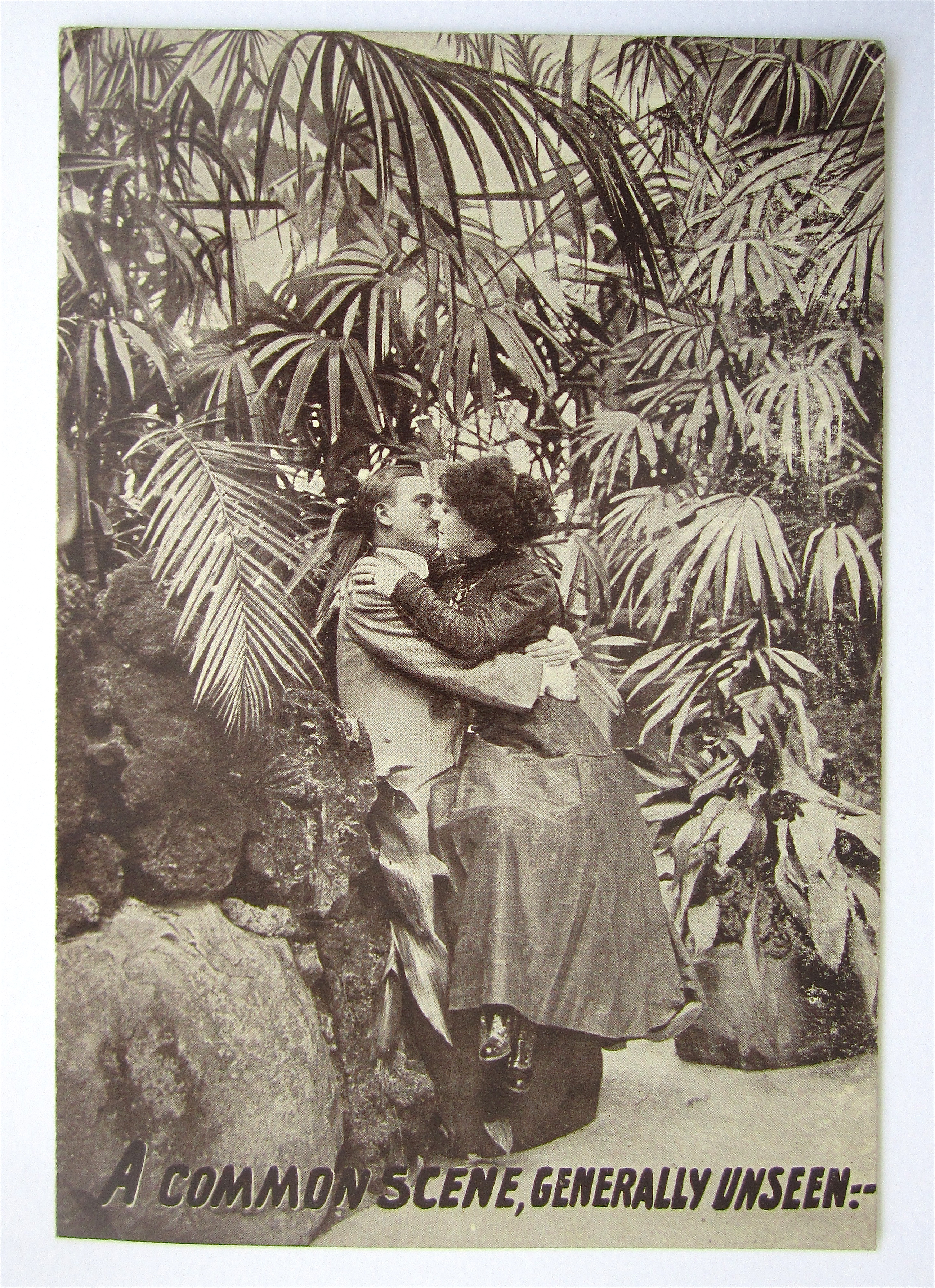 Man And Woman Kissing By Rocks And Trees Postcard