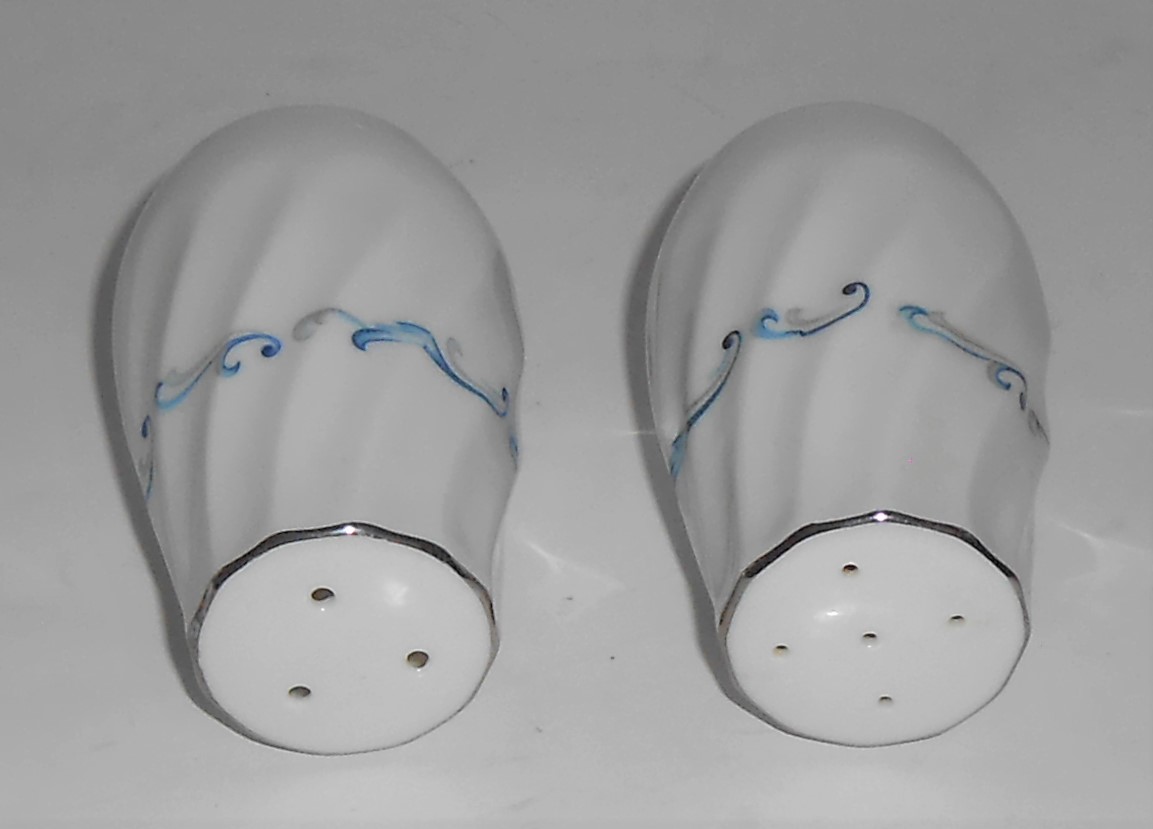 Celebrity Porcelain China Evening Tide Platinum Salt &