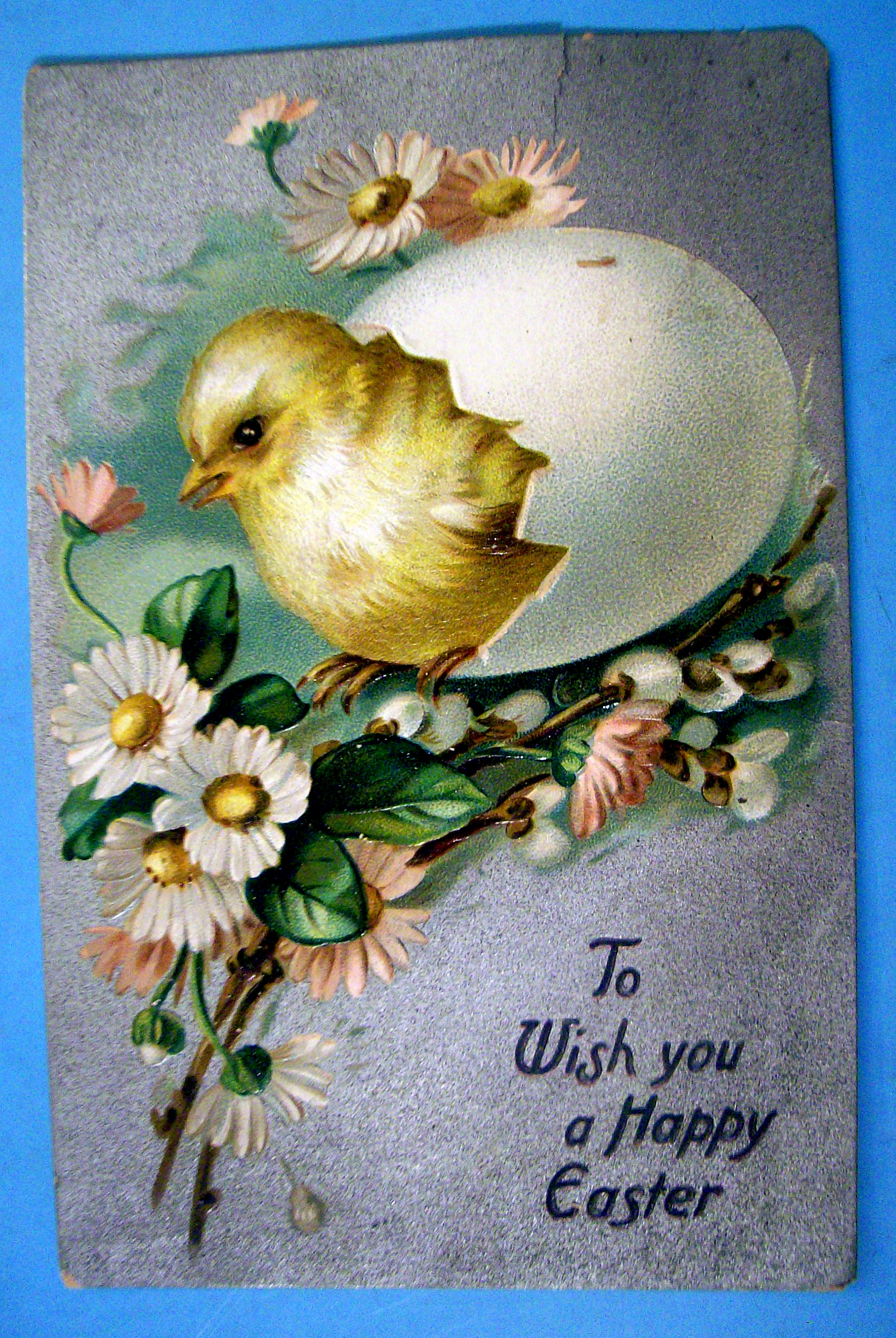 Wish You a Happy Easter Postcard w/Chick (Raphael Tuck)