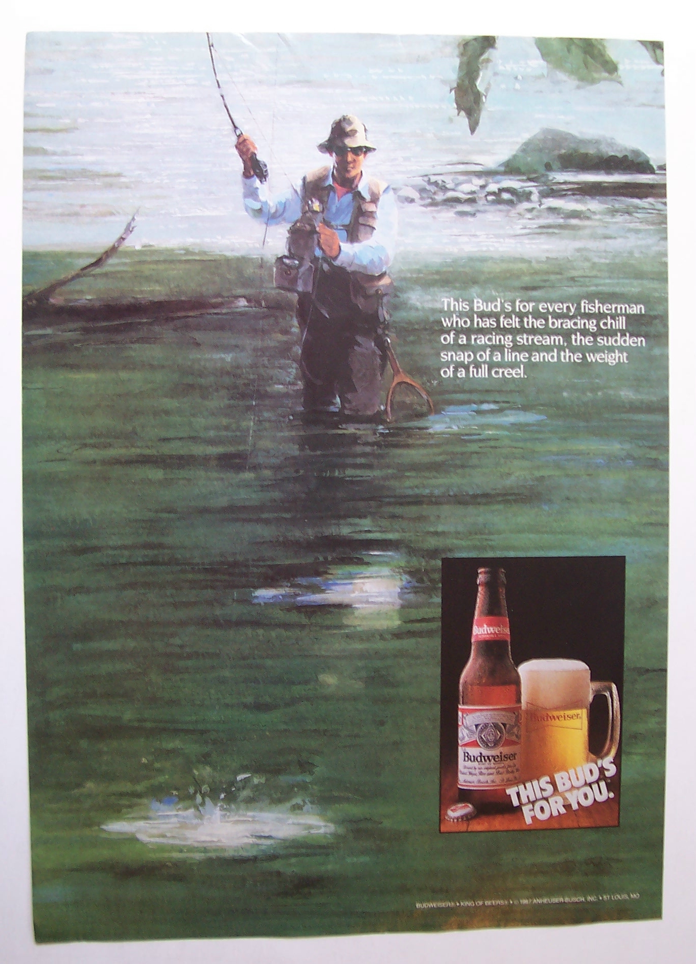 1988  Budweiser  Beer