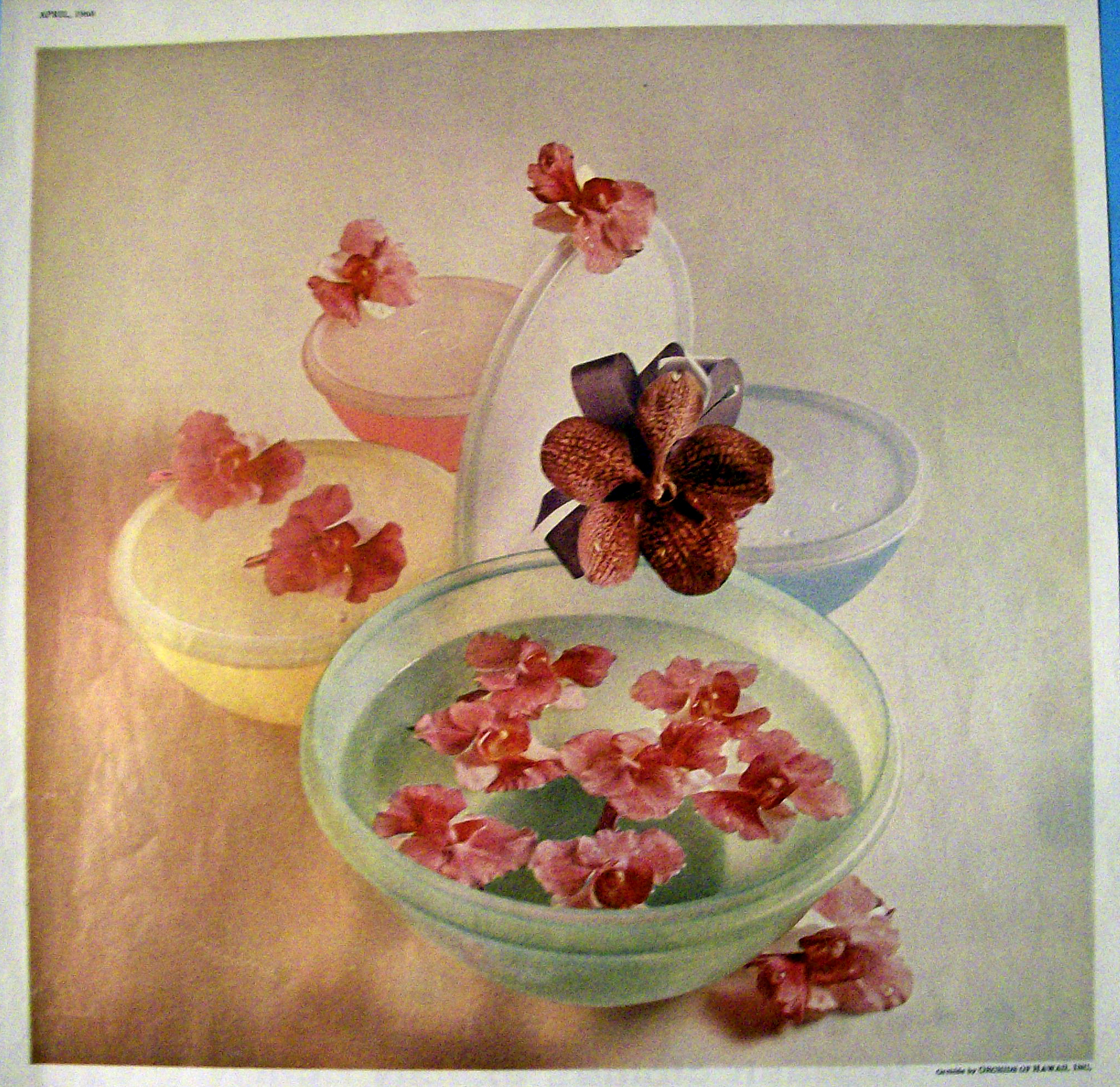 Vintage Ad: 1960 Tupperware