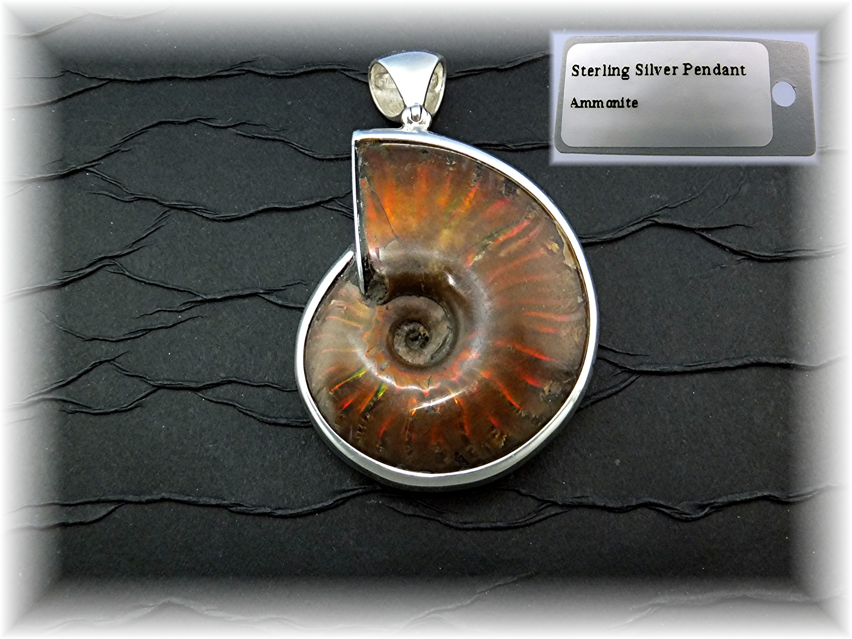 Pendant Sterling Silver Ammonite By Starborn