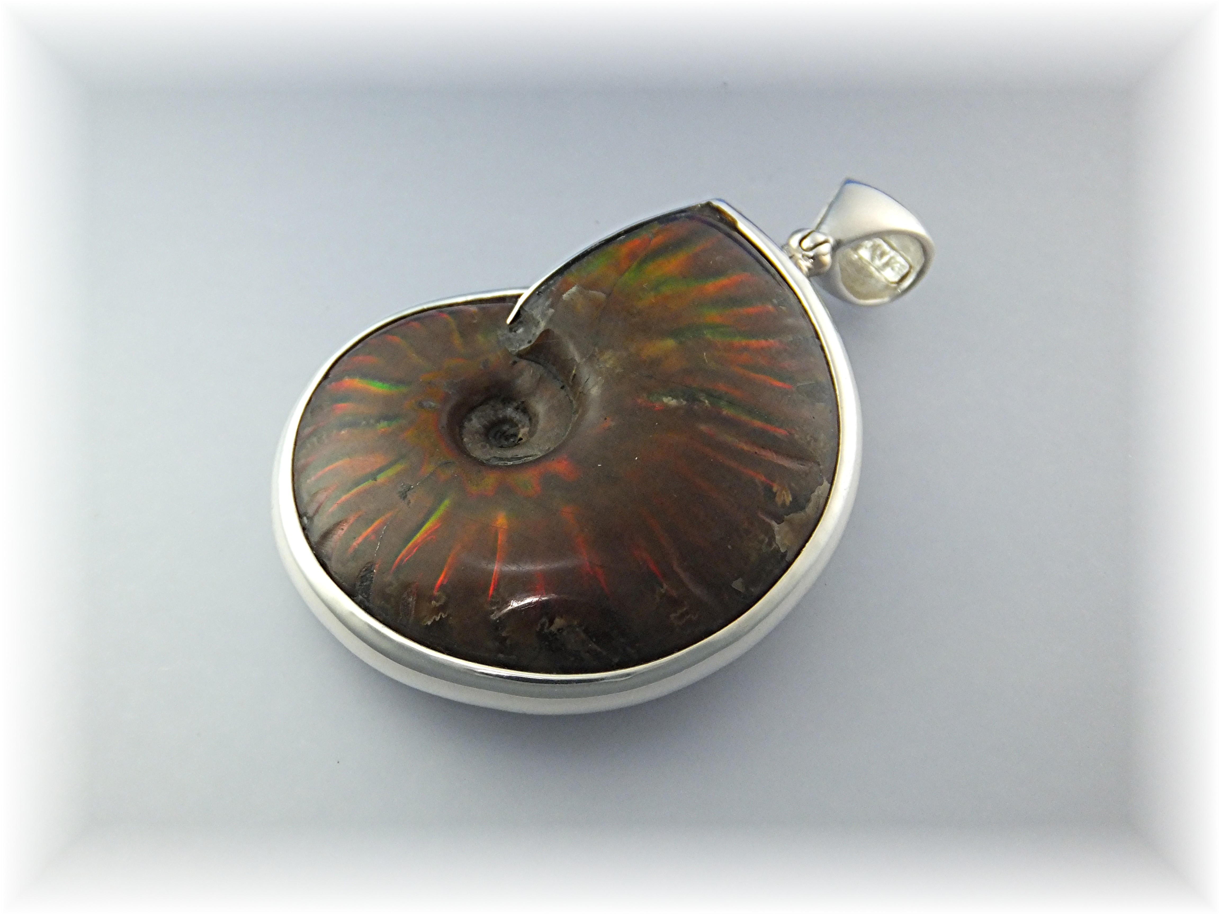 Pendant Sterling Silver Ammonite By Starborn
