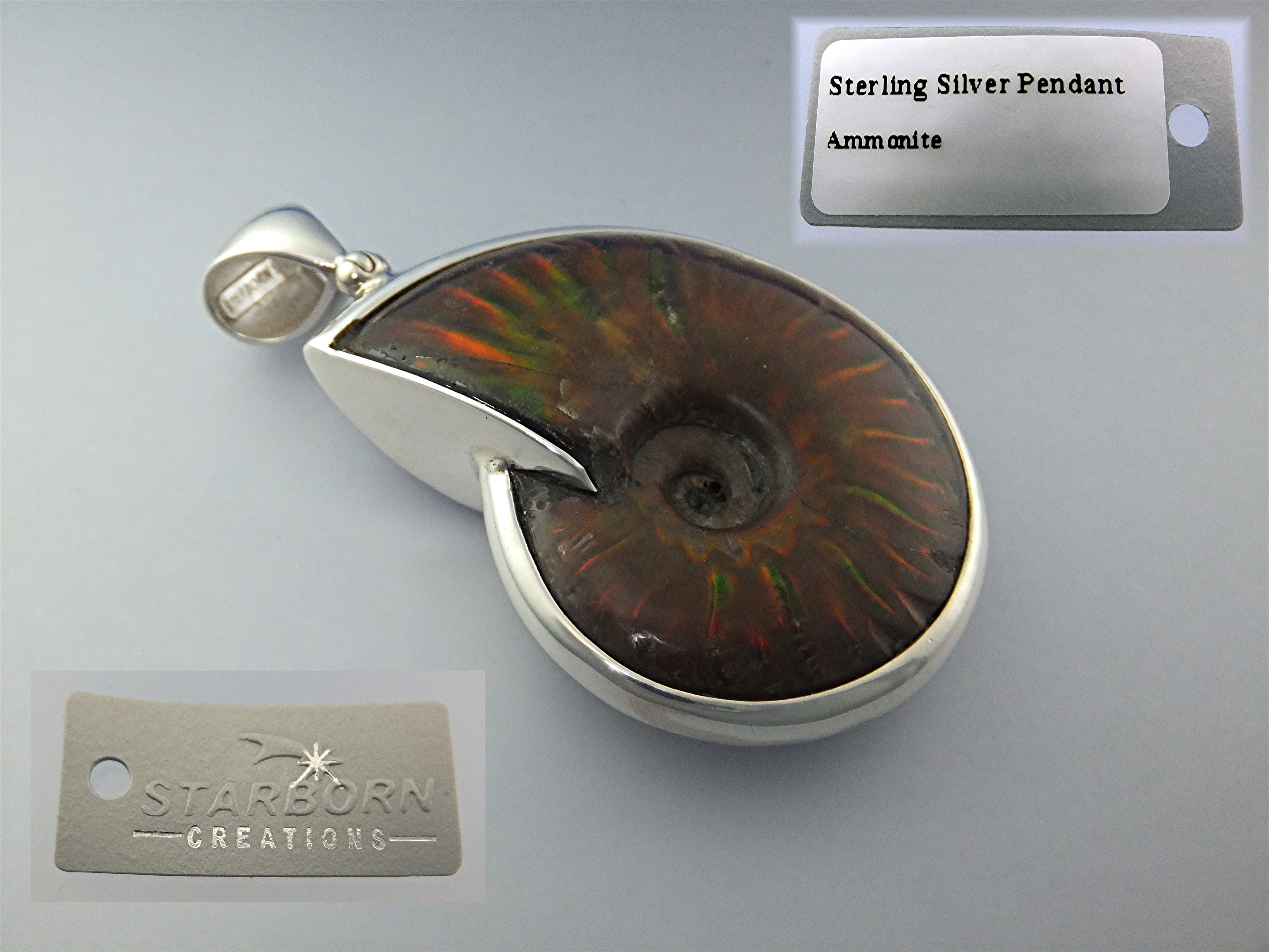 Pendant Sterling Silver Ammonite By Starborn