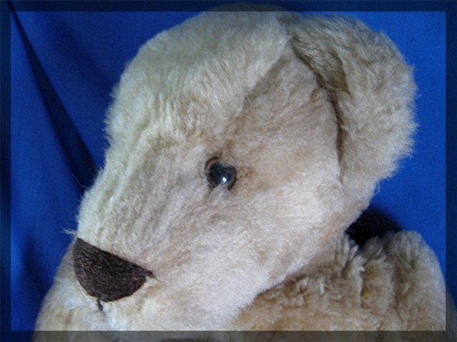 Bearly There bear by Linda Spiegel - PJ bag bear