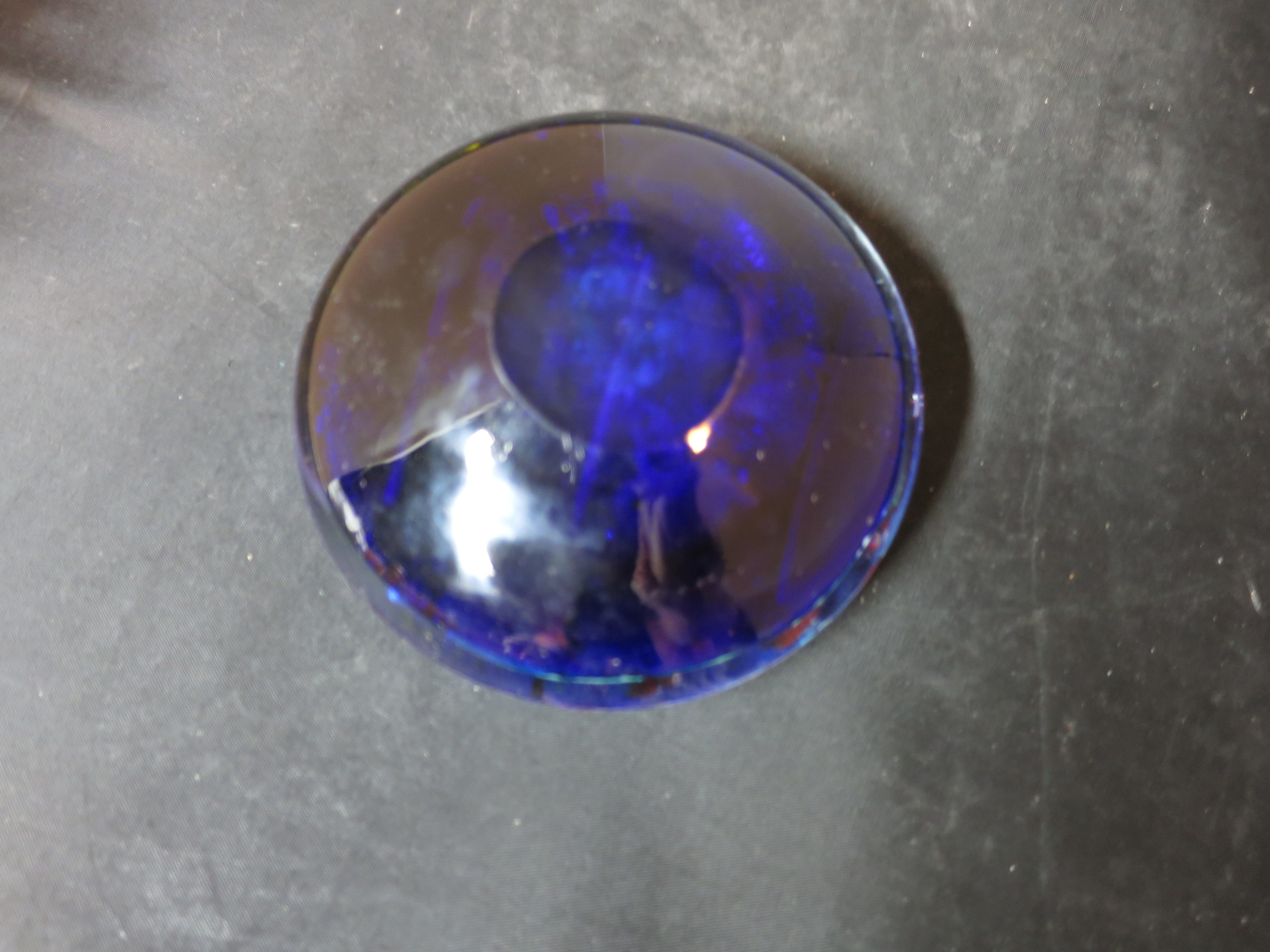 Murano Ocean Coral Reef Fish paperweight blown glass Cobalt Blue
