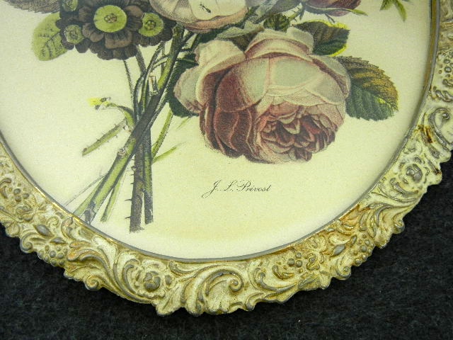 j. l. Prevost Botanical Print in metal frame