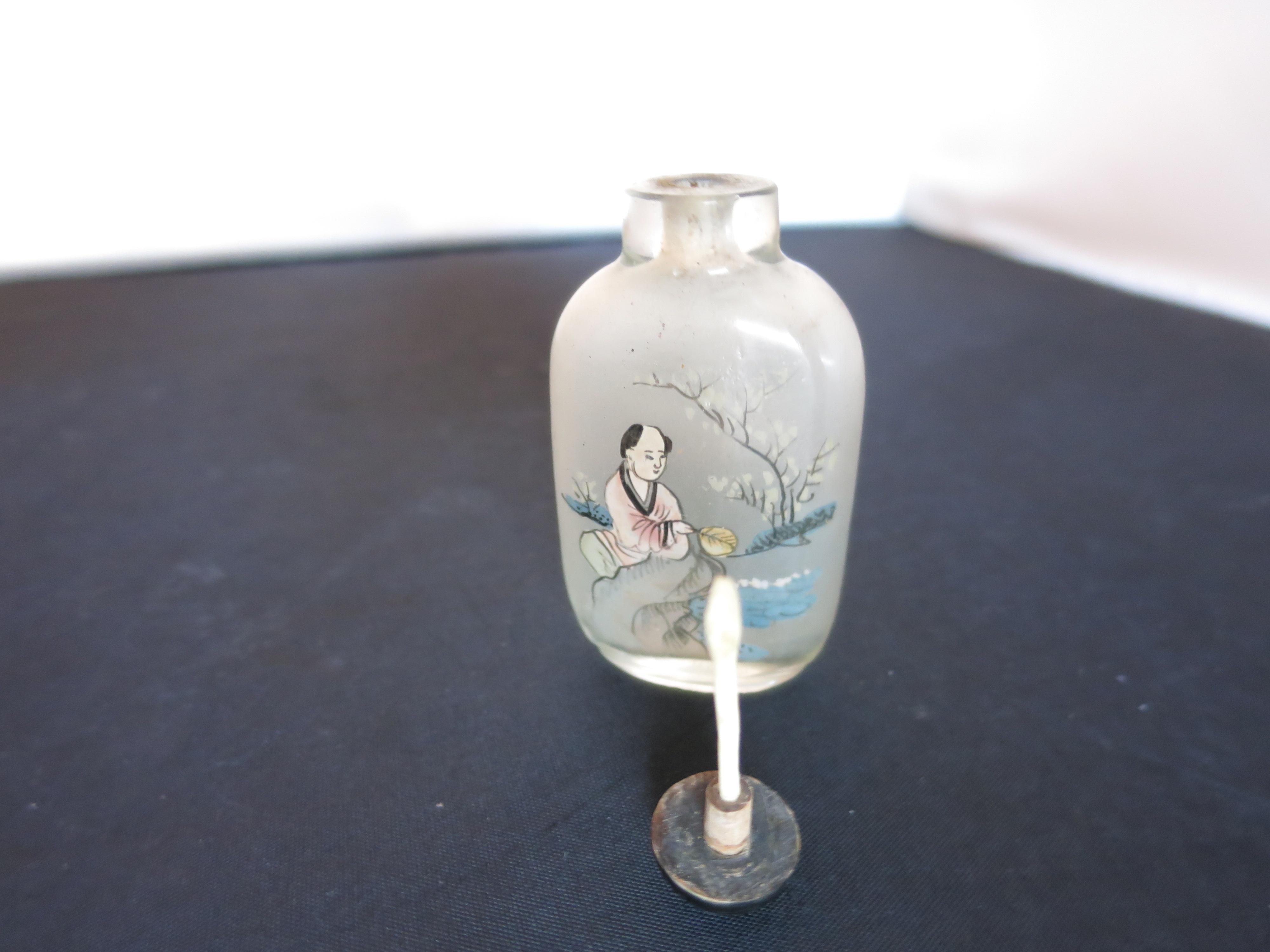Chinese Snuff Bottle Reverse Painted Satin Glass cased