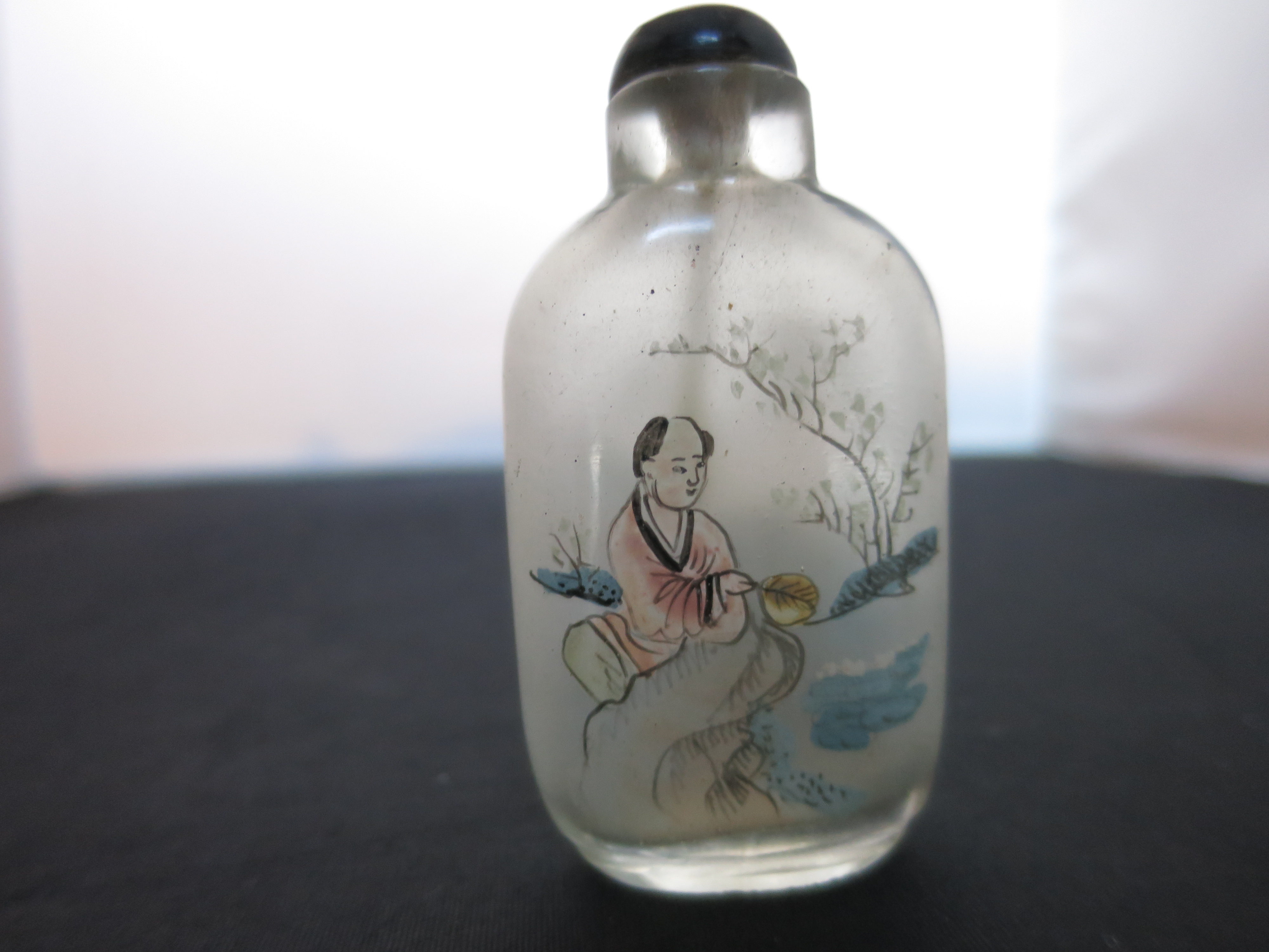Chinese Snuff Bottle Reverse Painted Satin Glass cased
