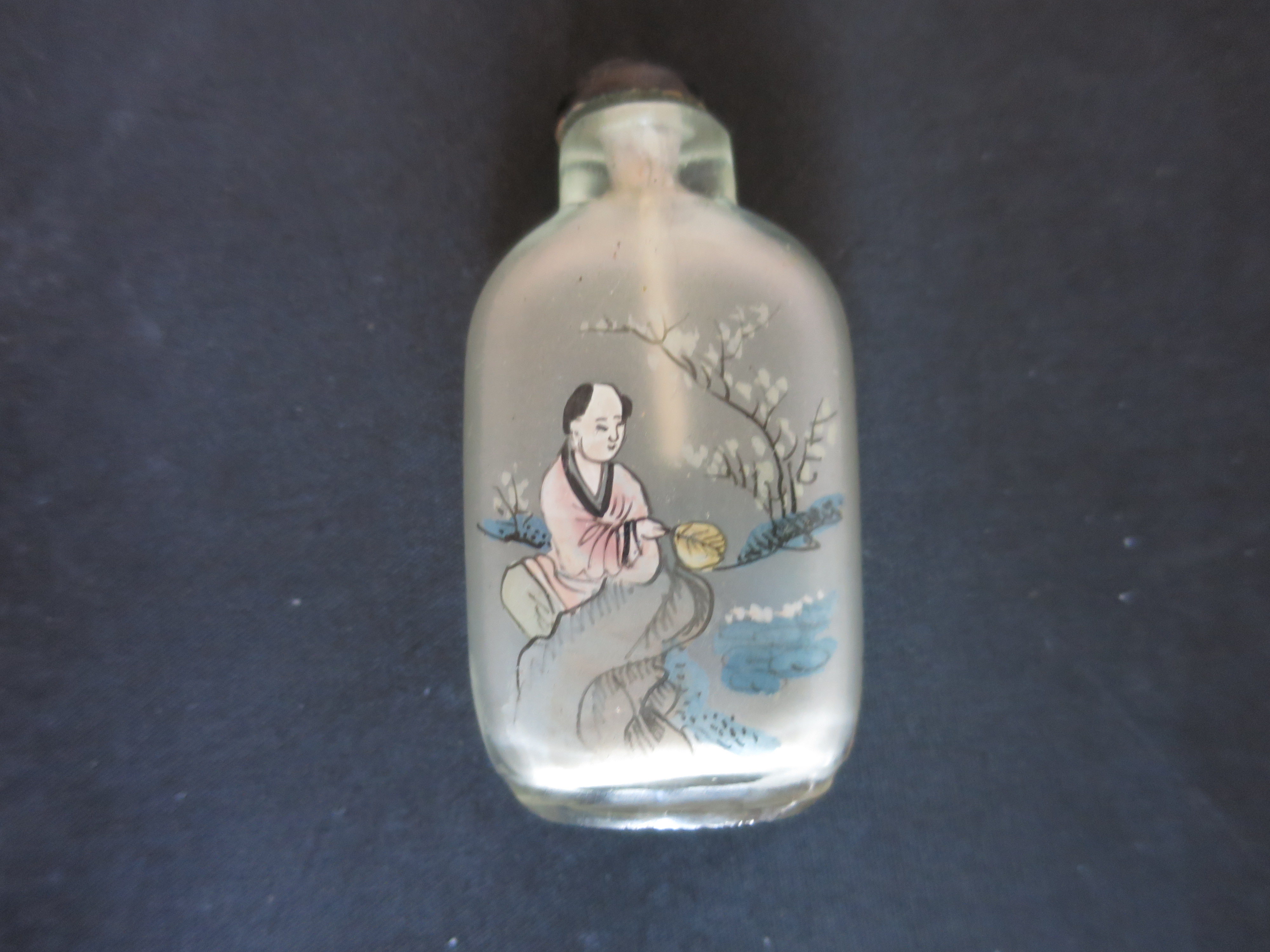 Chinese Snuff Bottle Reverse Painted Satin Glass cased