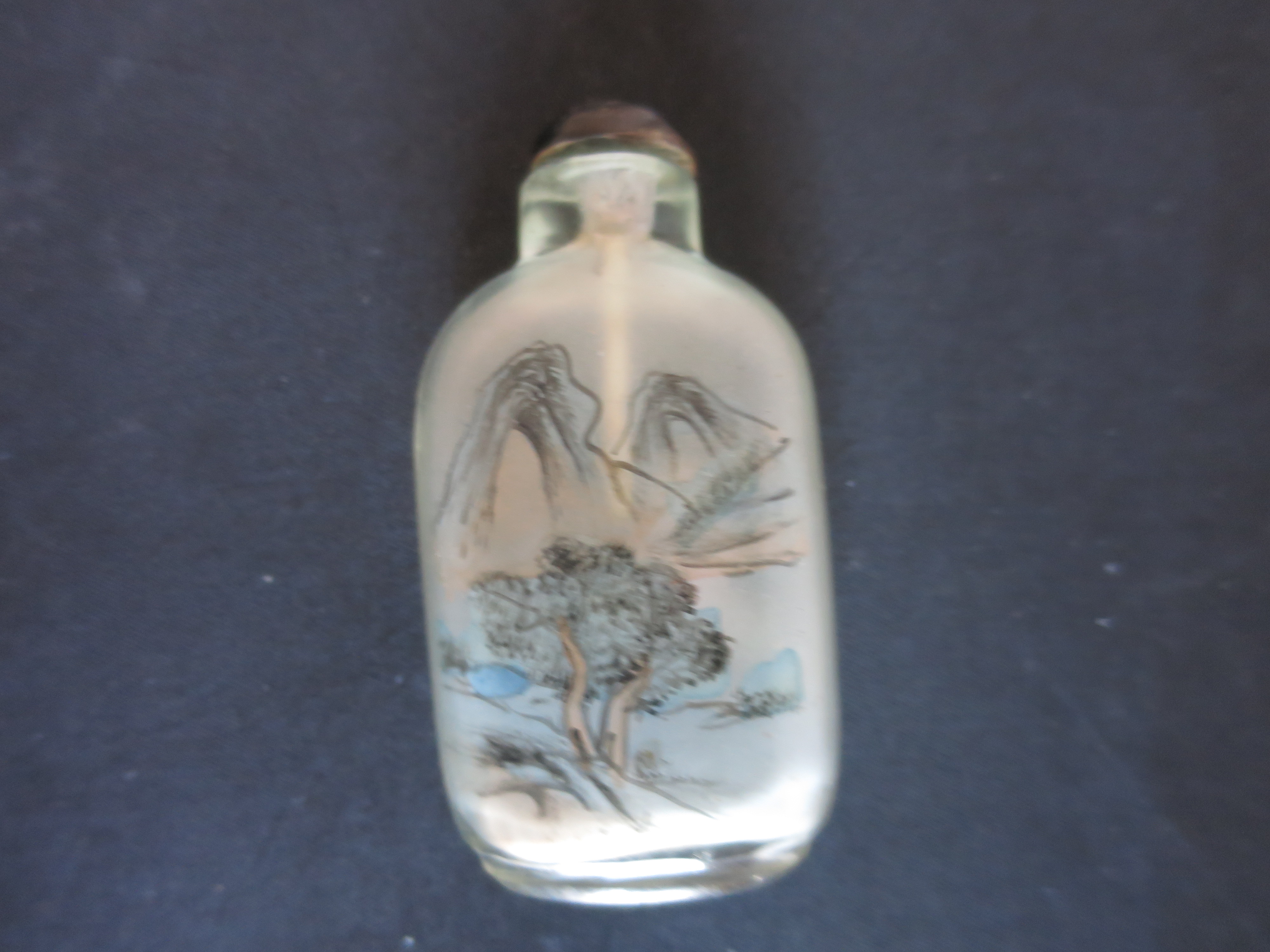 Chinese Snuff Bottle Reverse Painted Satin Glass cased