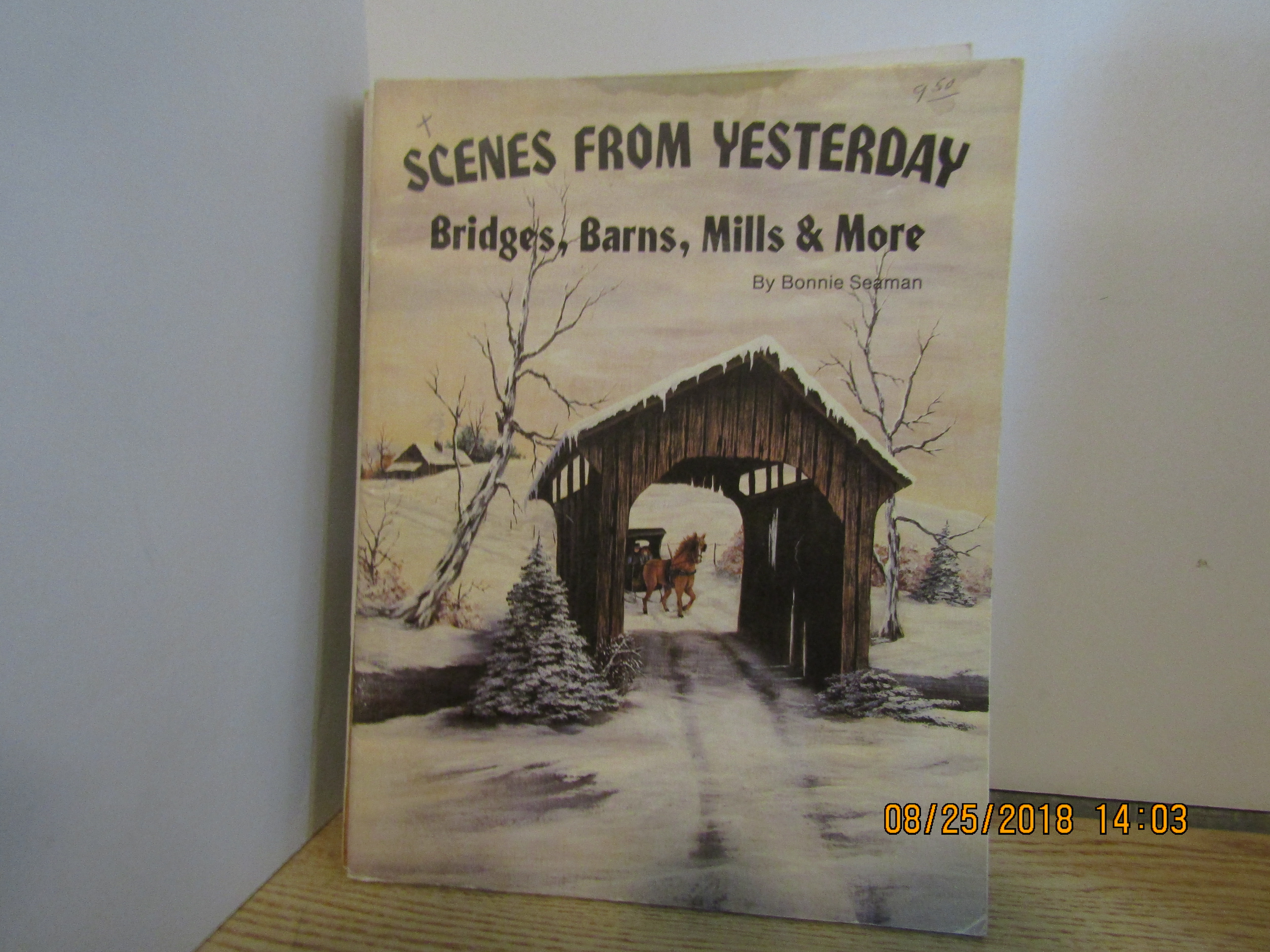 Bonnie Seaman Painting Book Scenes From Yesterday
