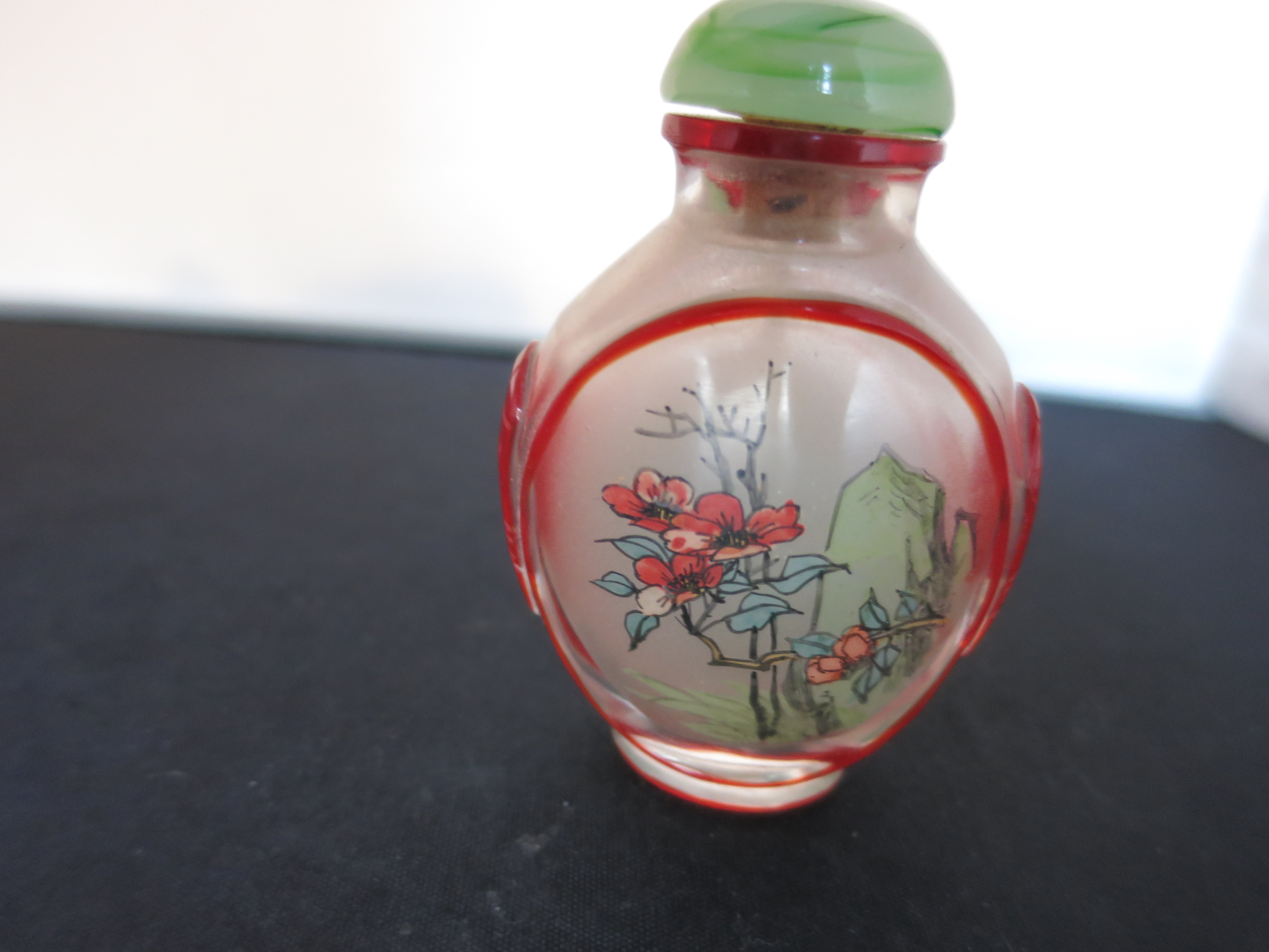 Chinese Snuff Bottle Reverse Painted Cased Overlay