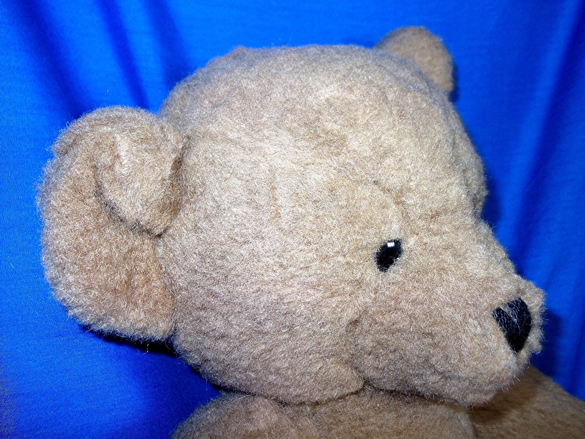 Bear English Jointed DeansTeddy Bear