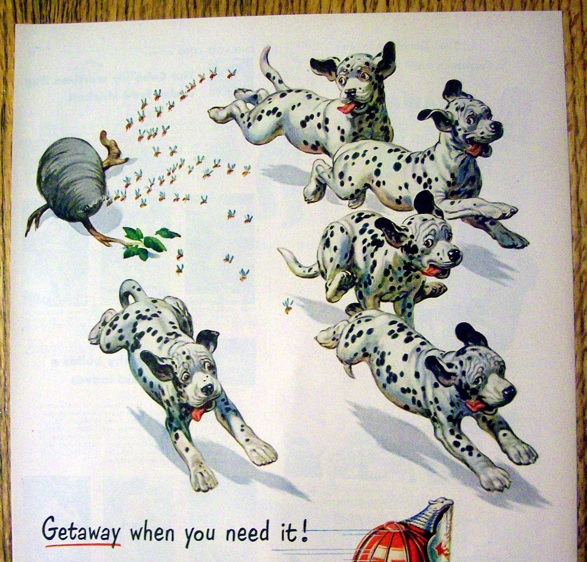 1951 Texaco Fire Chief Gasoline w/Dalmatians