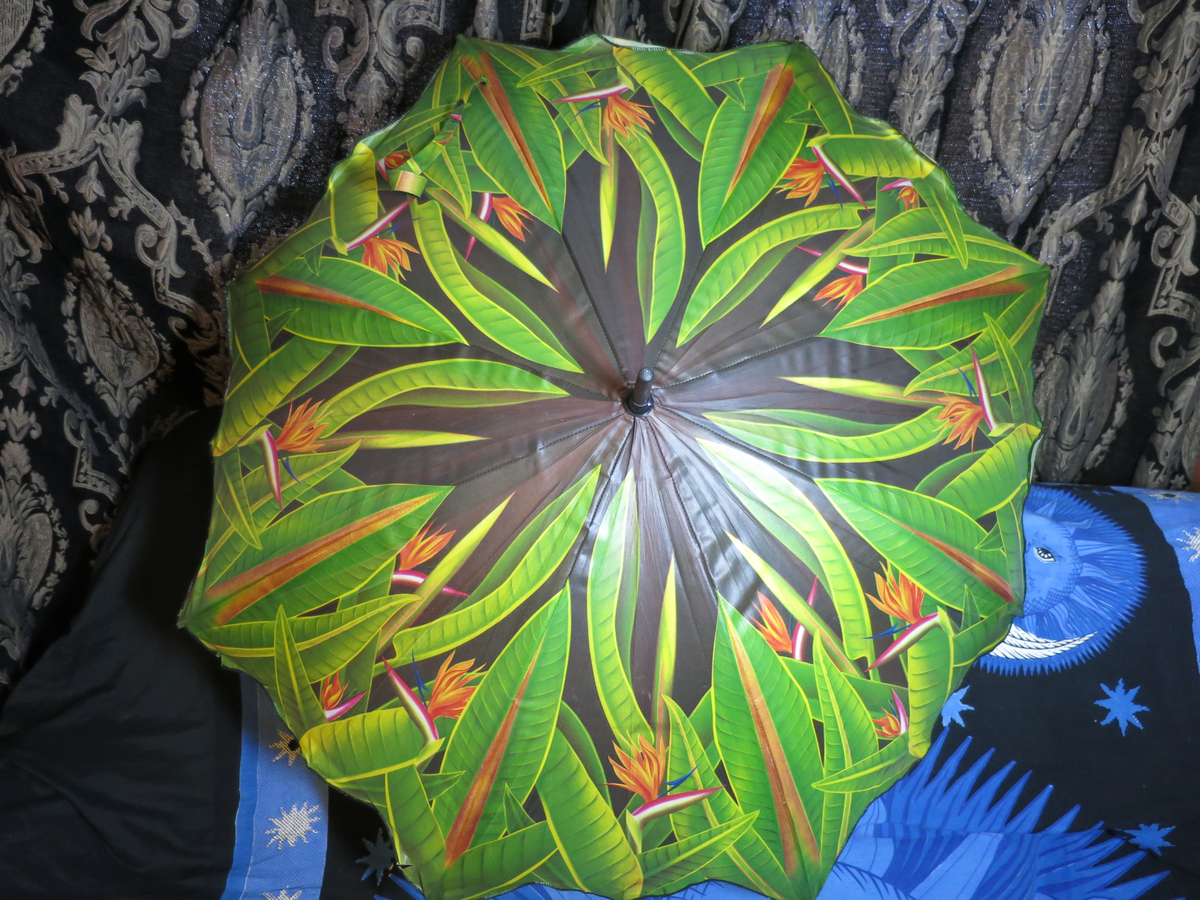 Vintage Umbrella Bird of Paradise Wood Hook Handle