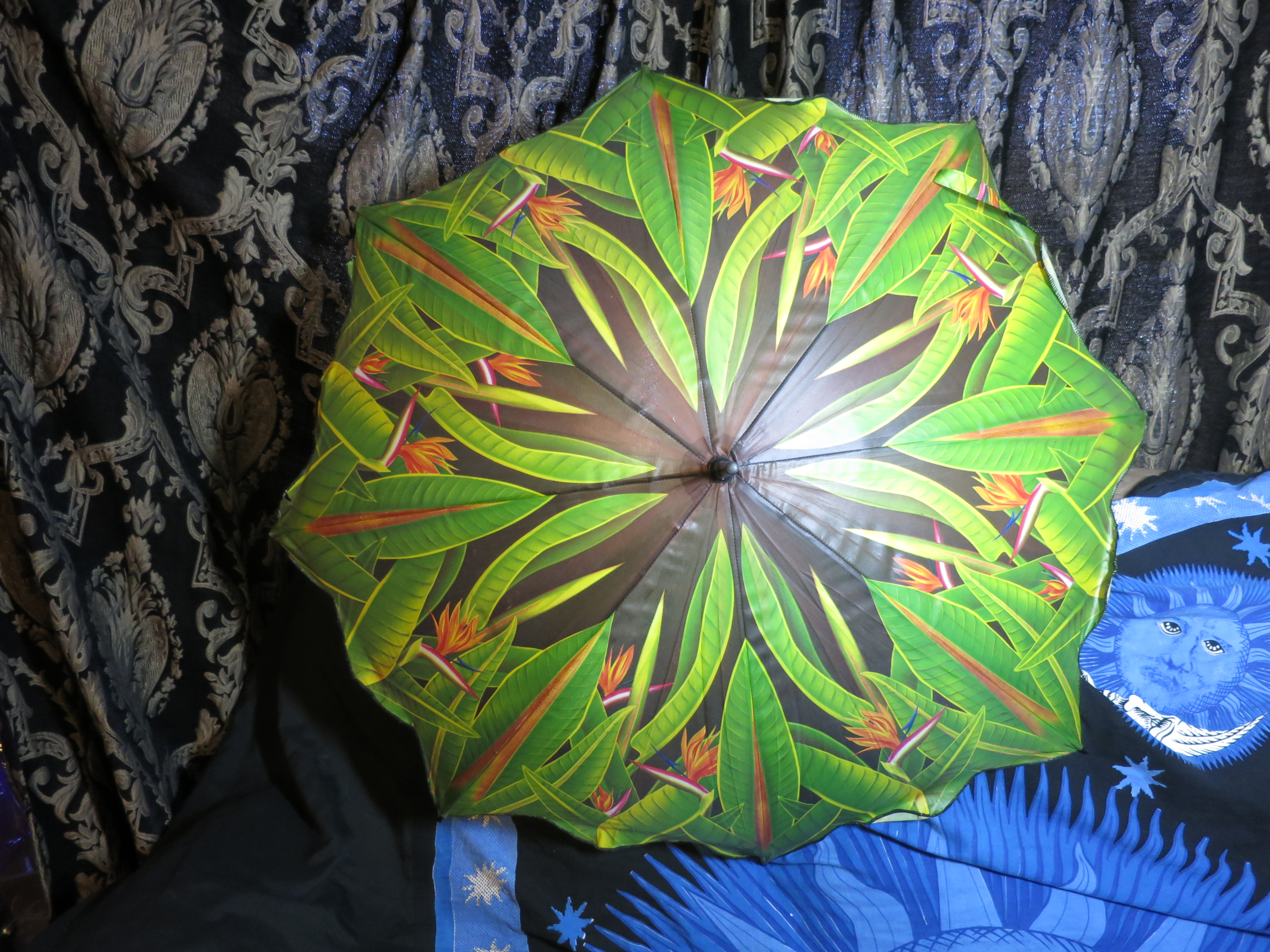 Vintage Umbrella Bird of Paradise Wood Hook Handle