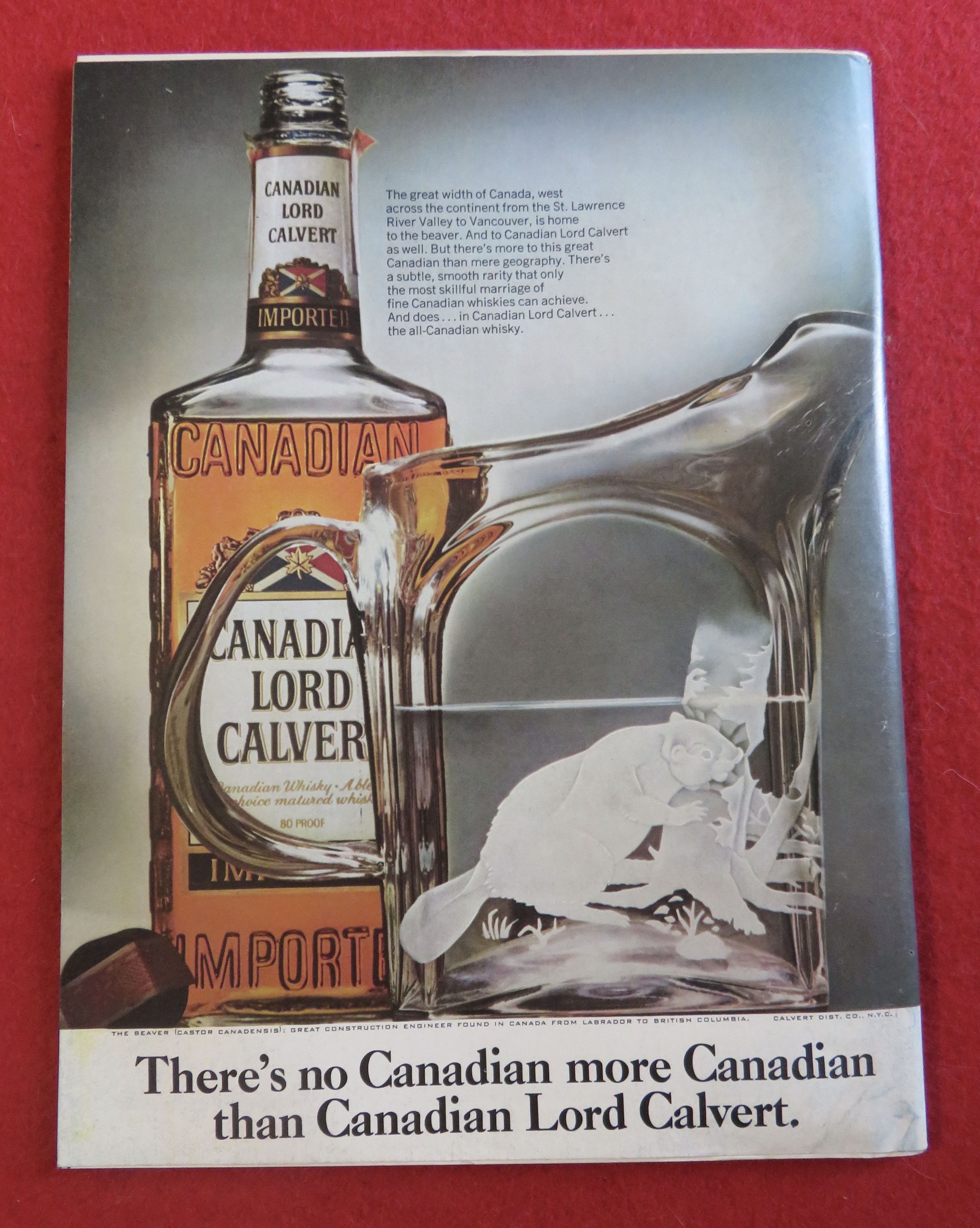 Newsweek Magazine November 5, 1973 Can He Survive