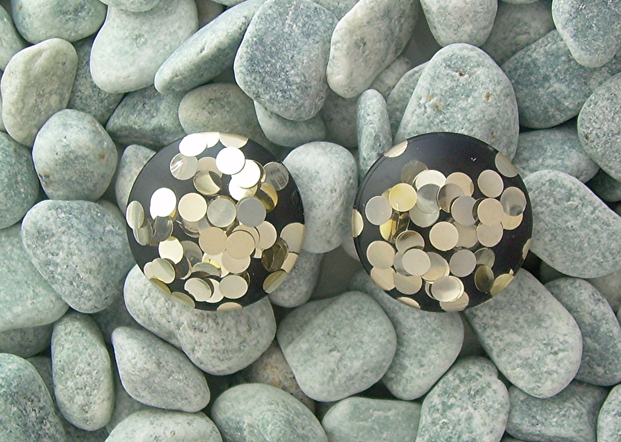 Black & Silver Bakelite Lucite Clip Earrings