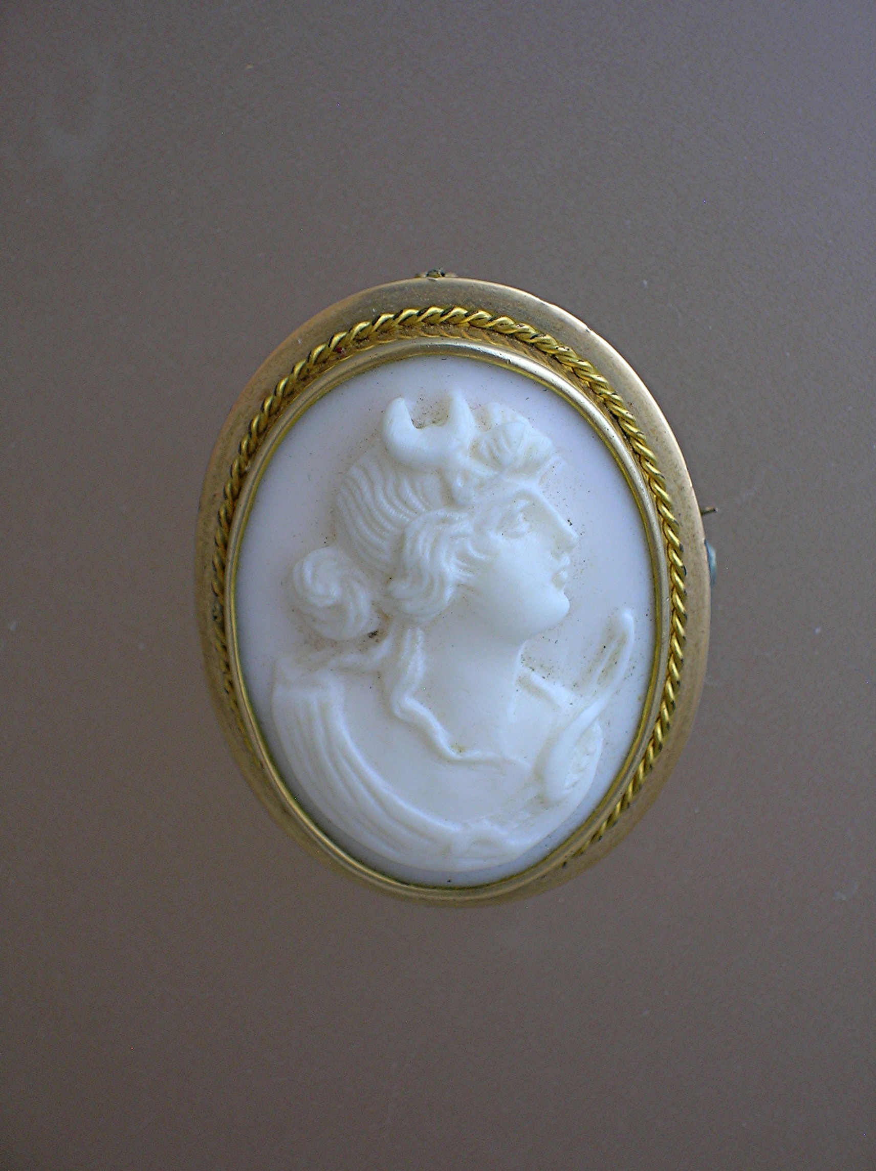 Brooch 10k-14K Gold Angel Skin Cameo